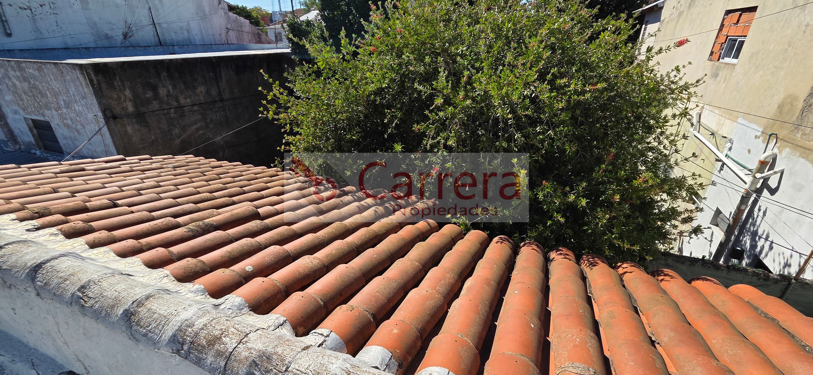 canese 3542 · San Martín — foto 15