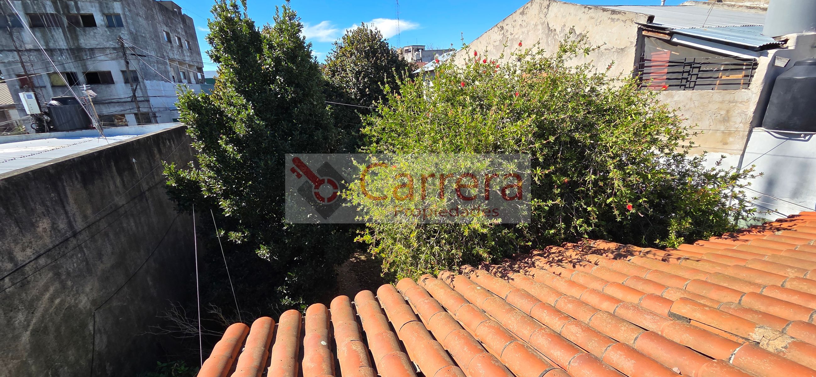 canese 3542 · San Martín — foto 16