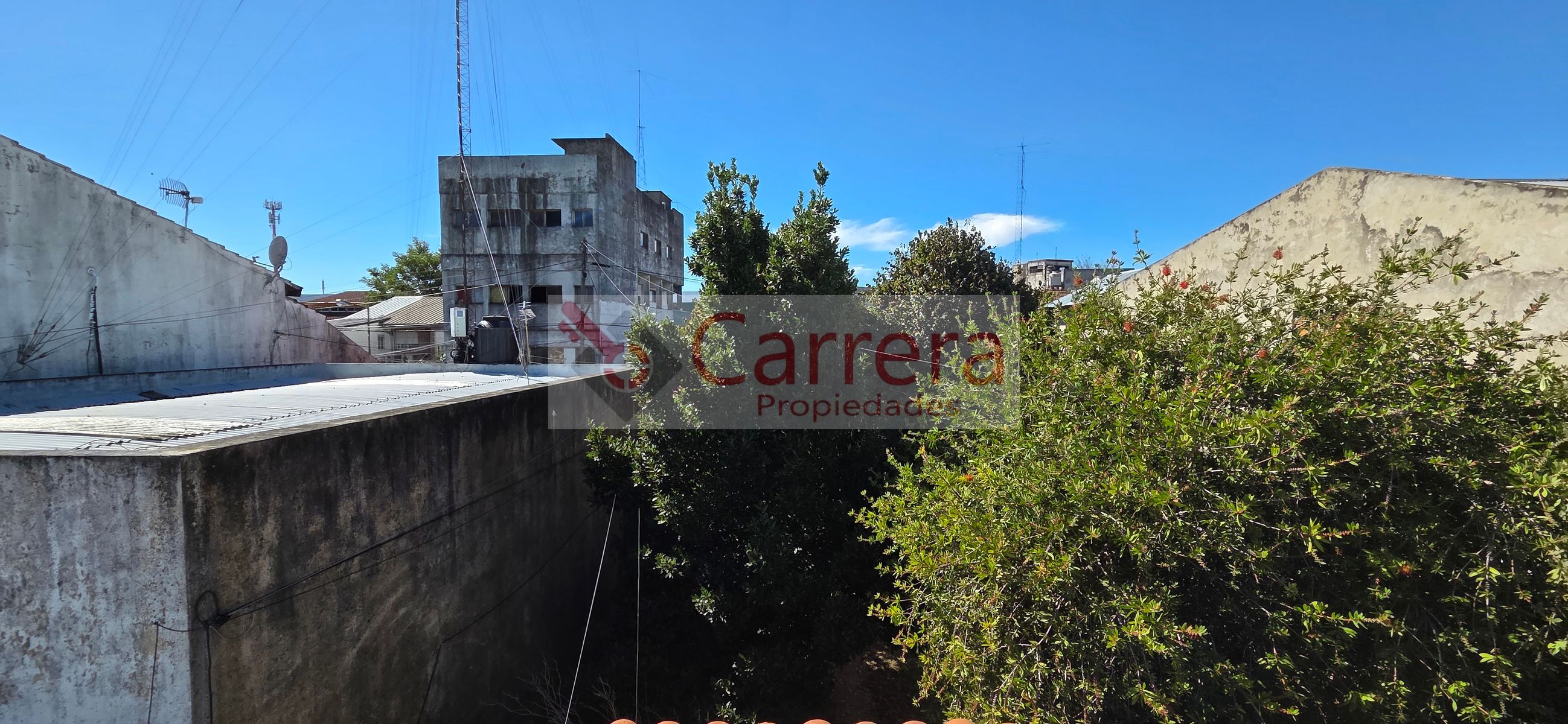 canese 3542 · San Martín — foto 17