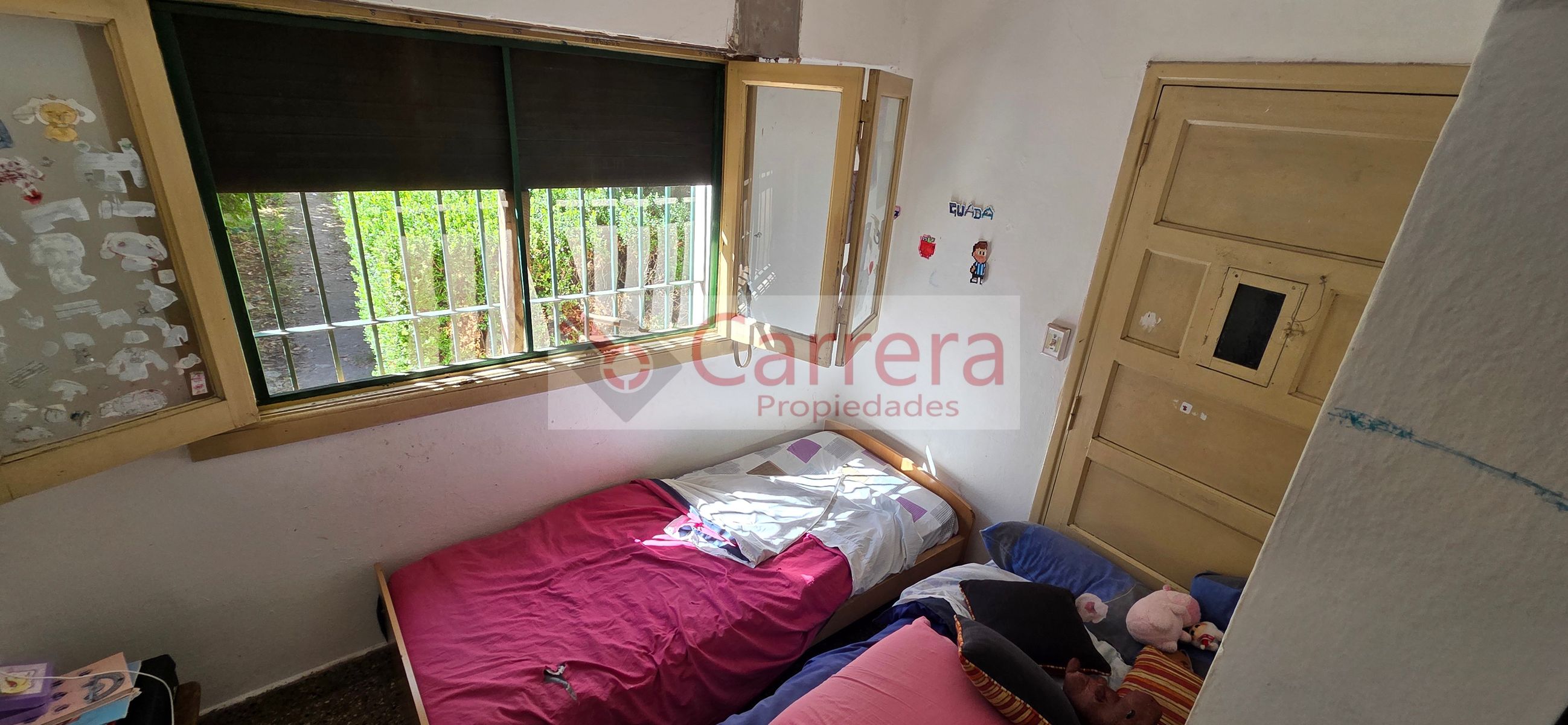 canese 3542 · San Martín — foto 20