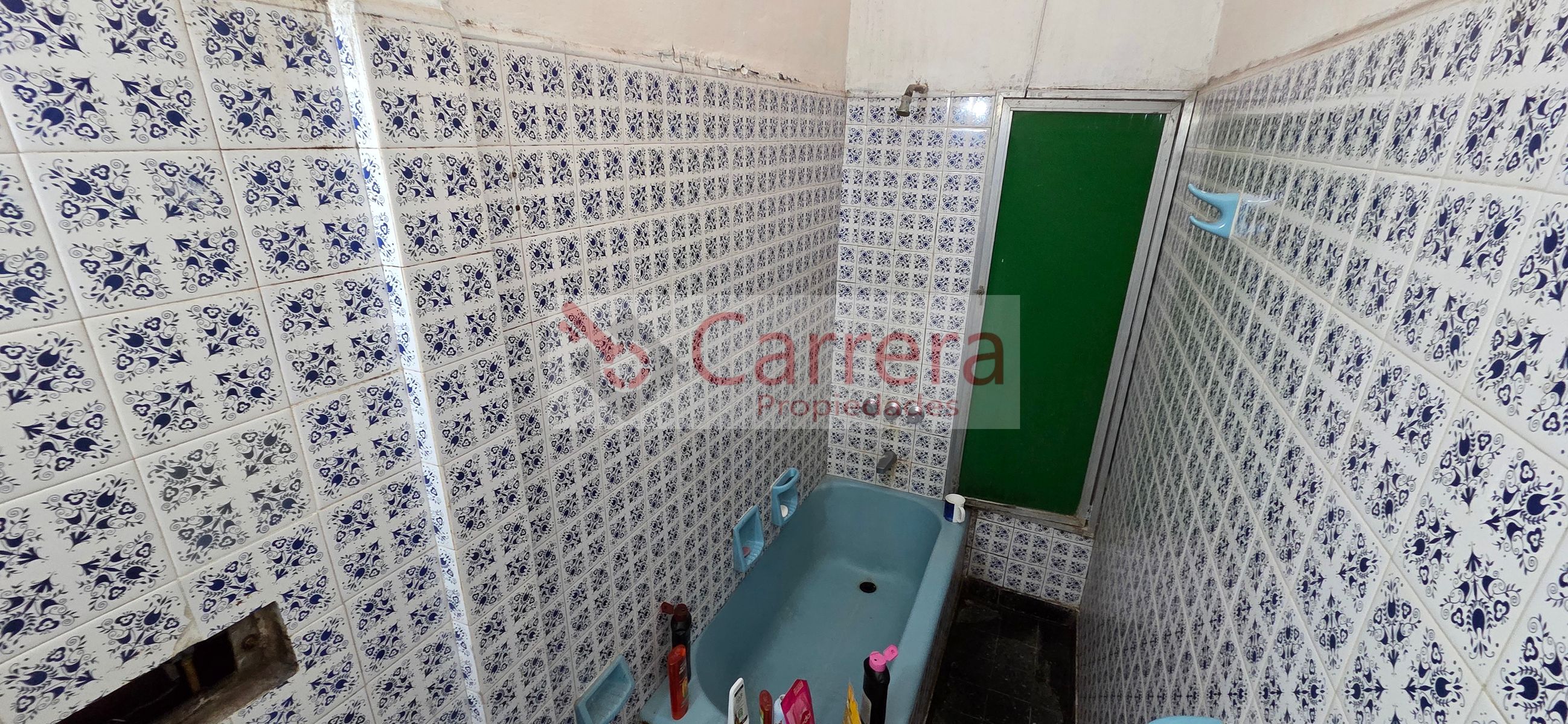 canese 3542 · San Martín — foto 31