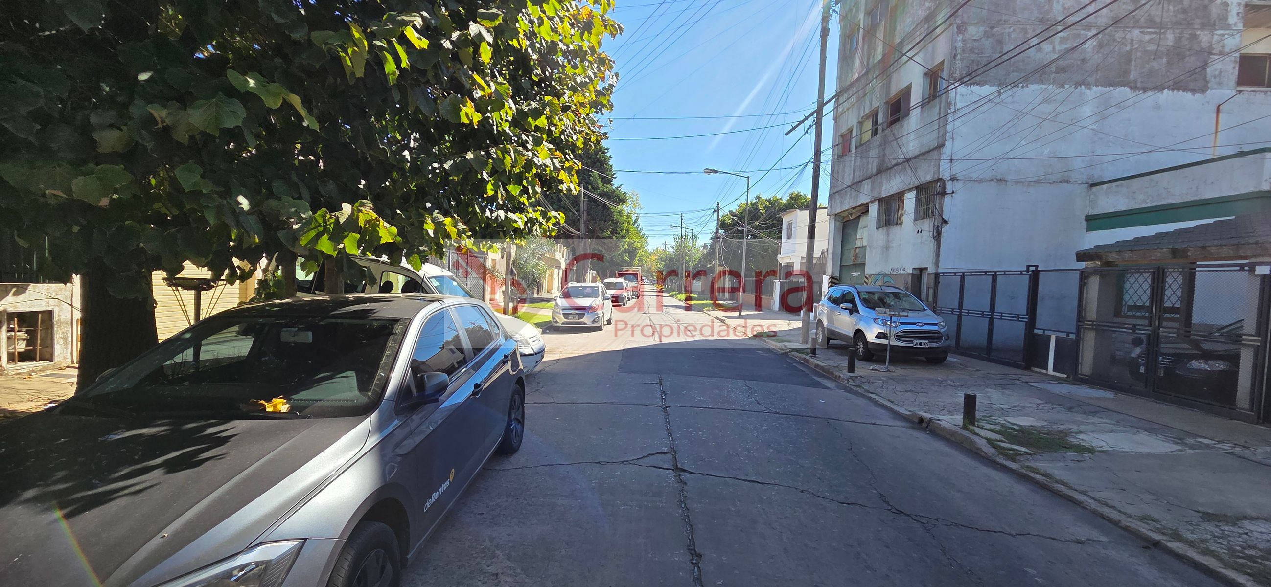 canese 3542 · San Martín — foto 36