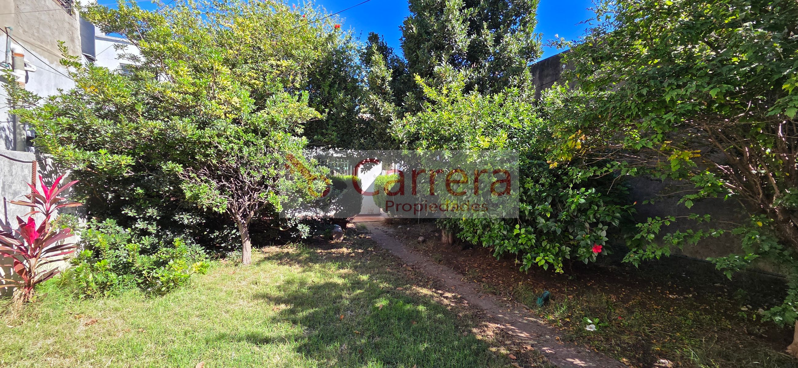 canese 3542 · San Martín — foto 37