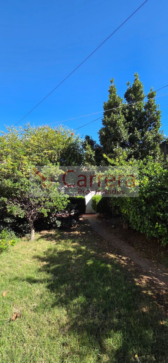 canese 3542 · San Martín — foto 38