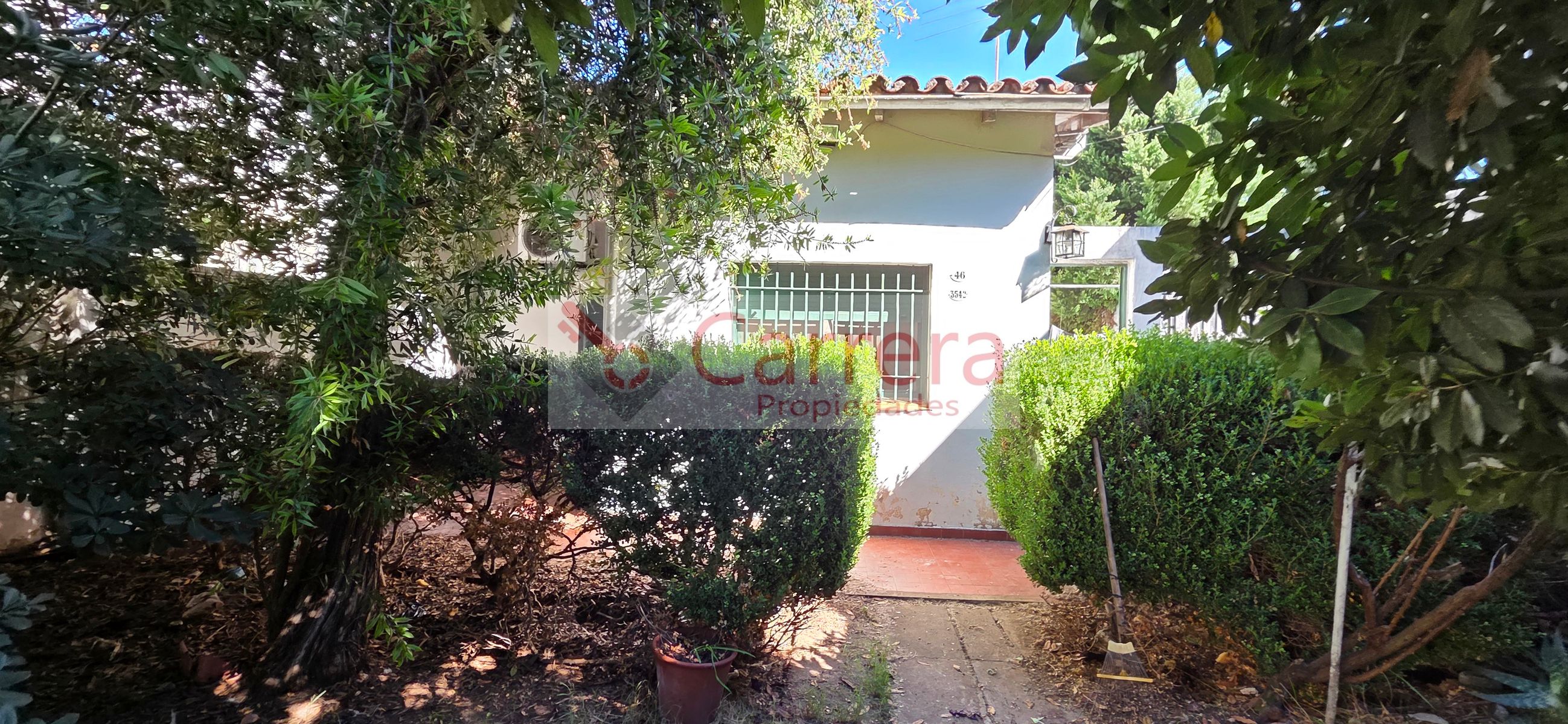 canese 3542 · San Martín — foto 39