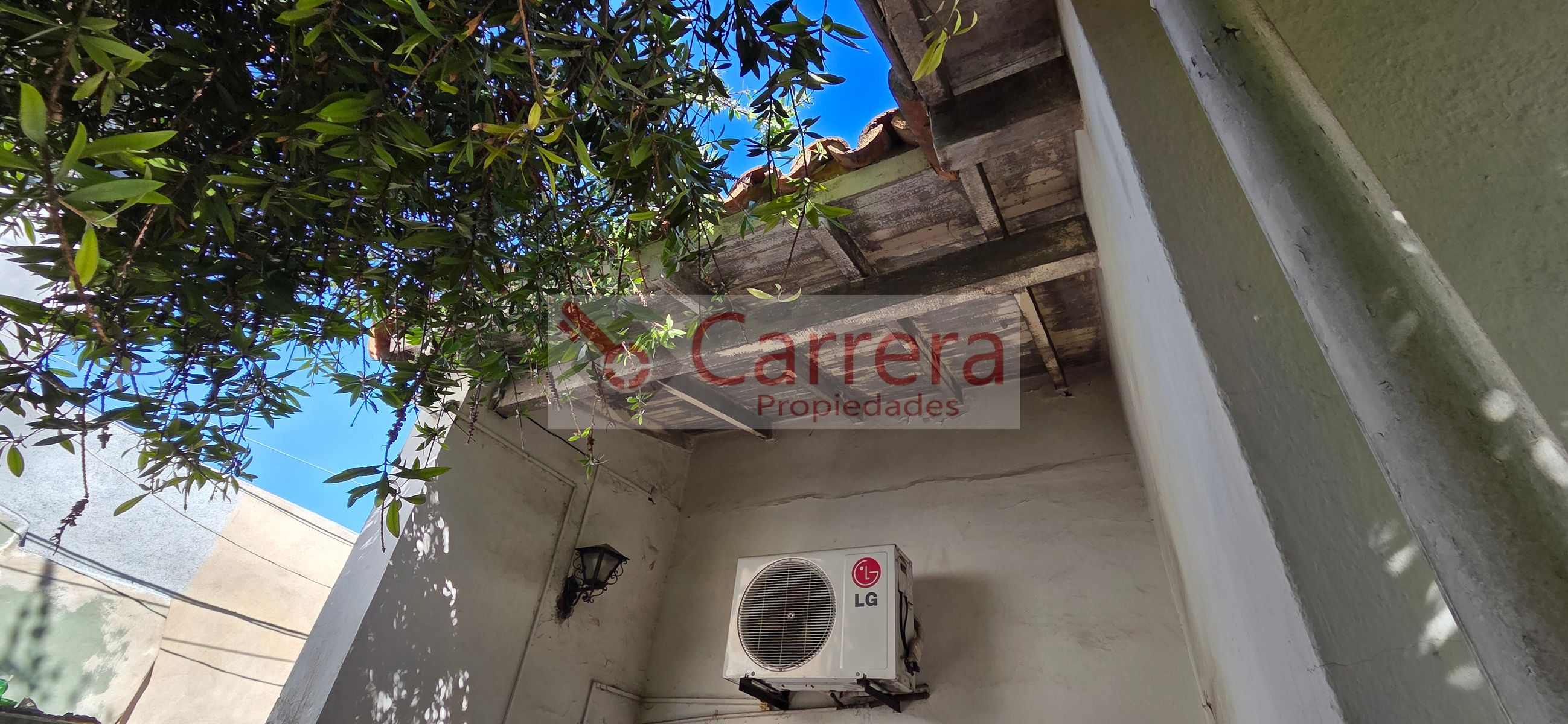 canese 3542 · San Martín — foto 43
