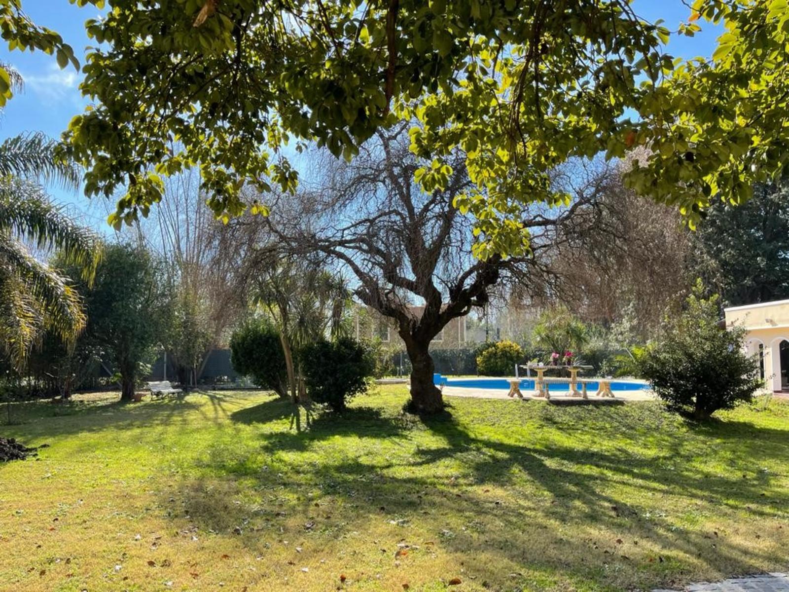Tirso de molina 1000 · Moreno — foto 25