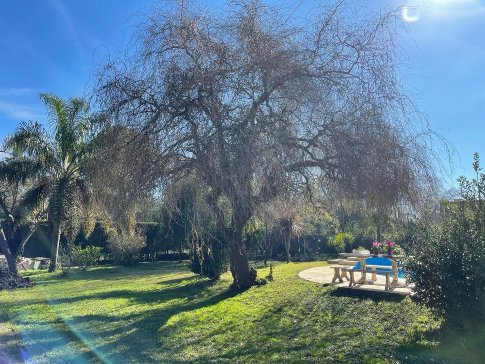 Tirso de molina 1000 · Moreno — foto 26