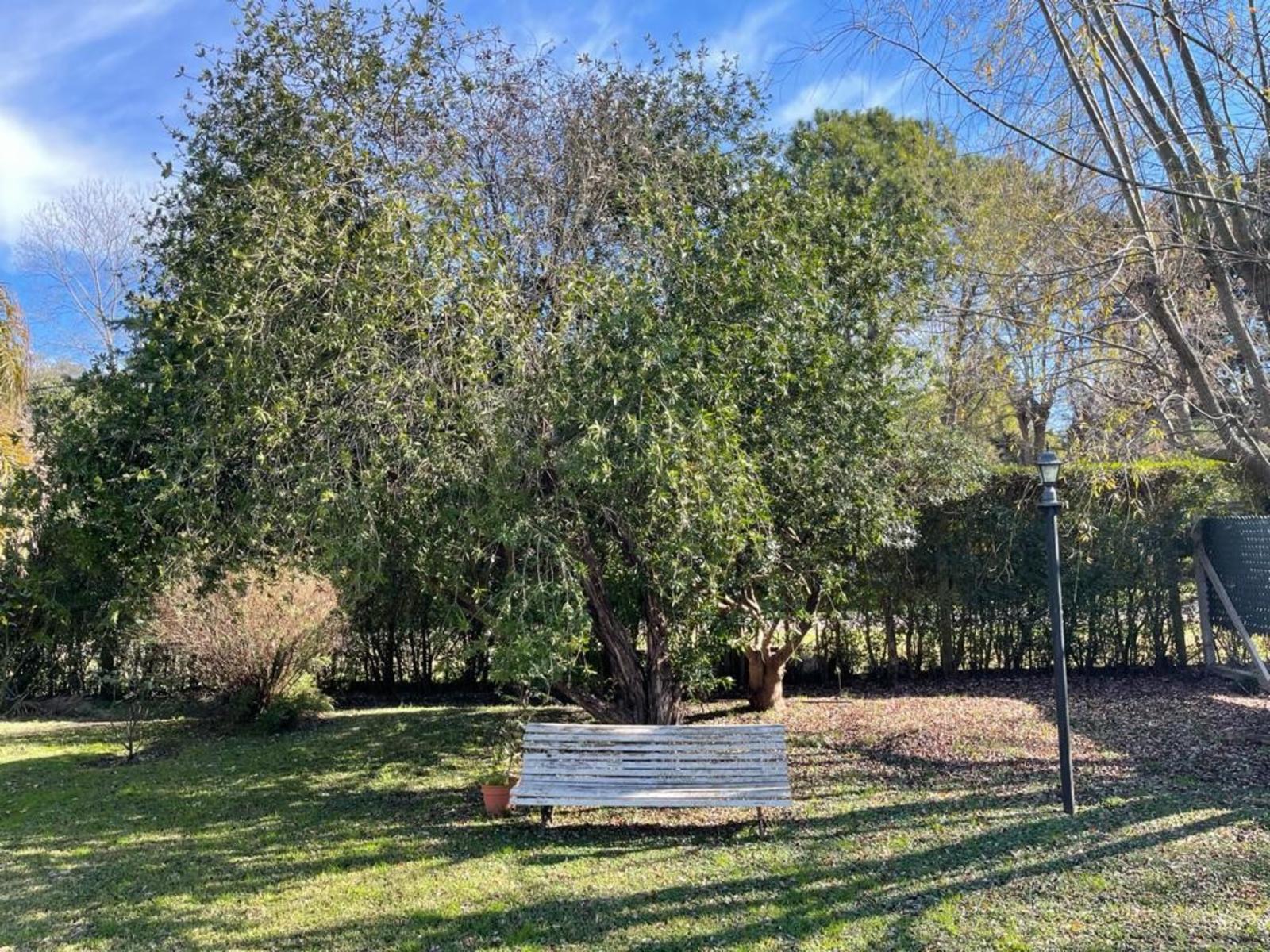 Tirso de molina 1000 · Moreno — foto 27