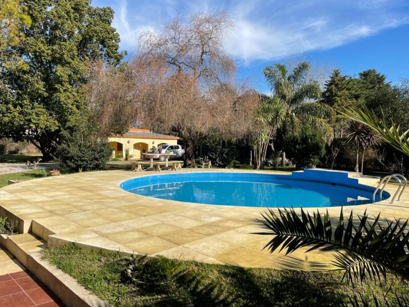 Tirso de molina 1000 · Moreno — foto 30