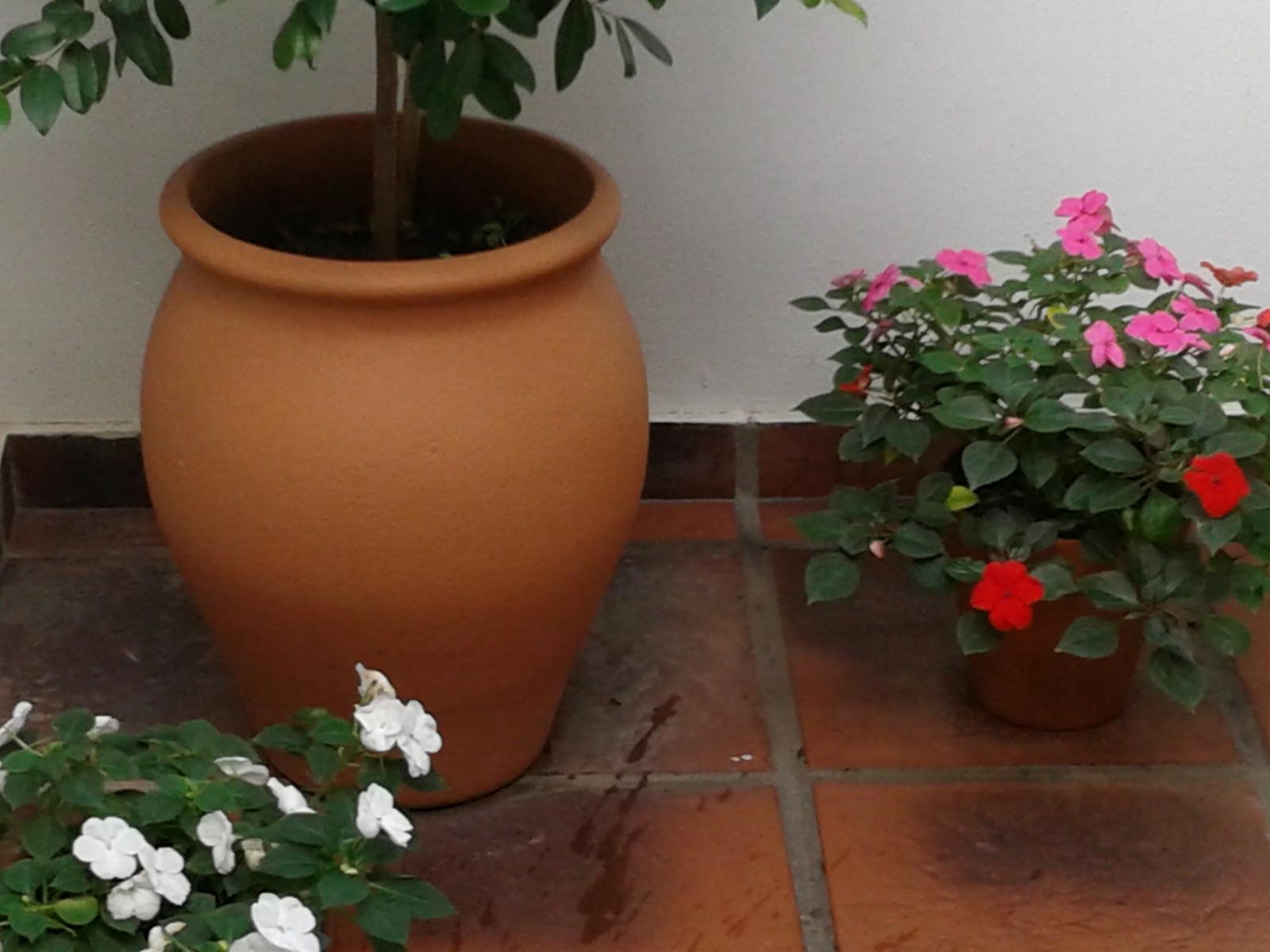 AV CHAVES  Nº 498 · Balcarce — foto 44