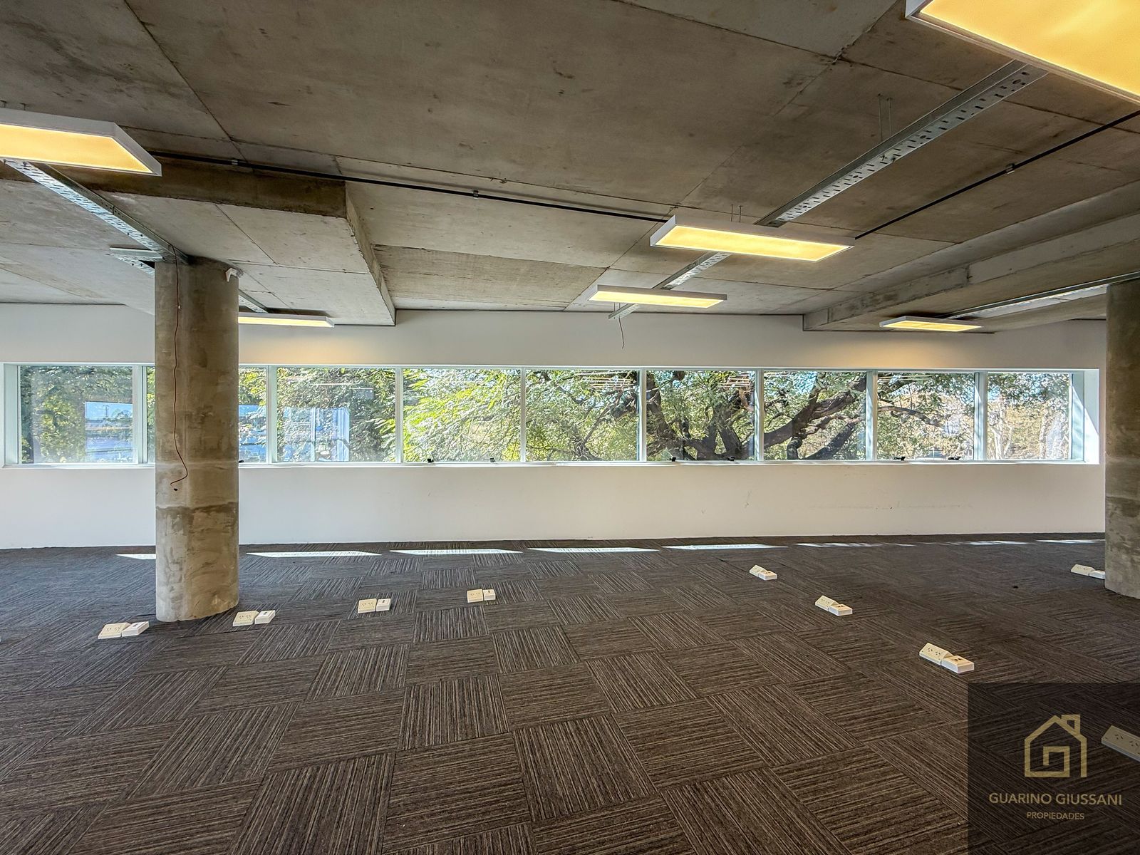 Cecilia Grierson 422 · Puerto Madero — foto 13