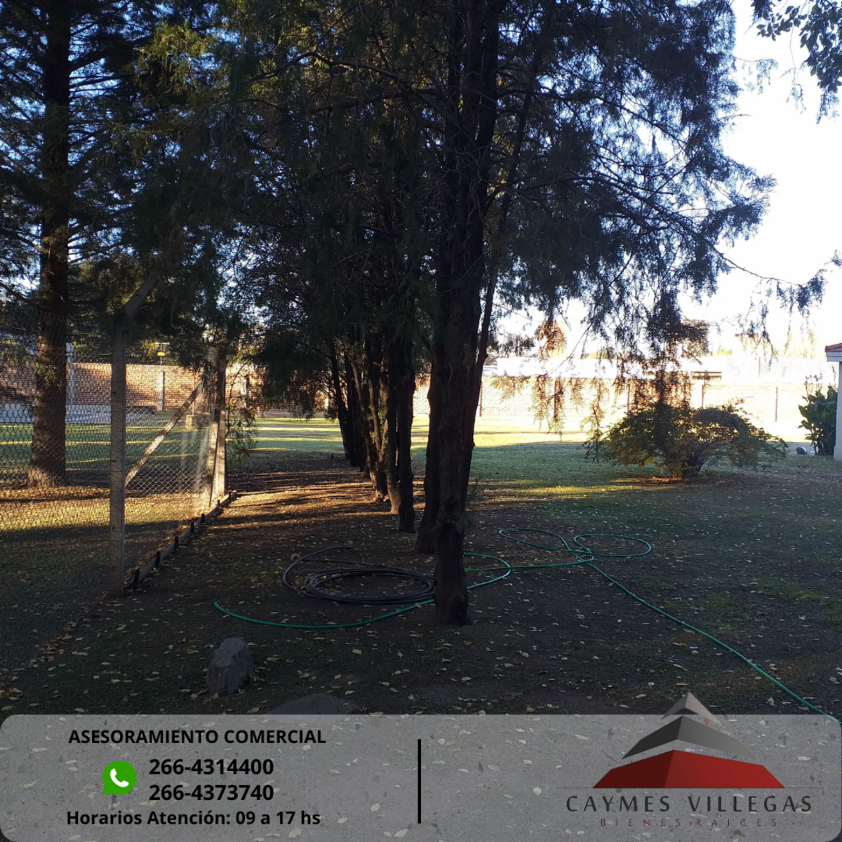Viento Chorrillero y 20 de Noviembre · La Capital — foto 3
