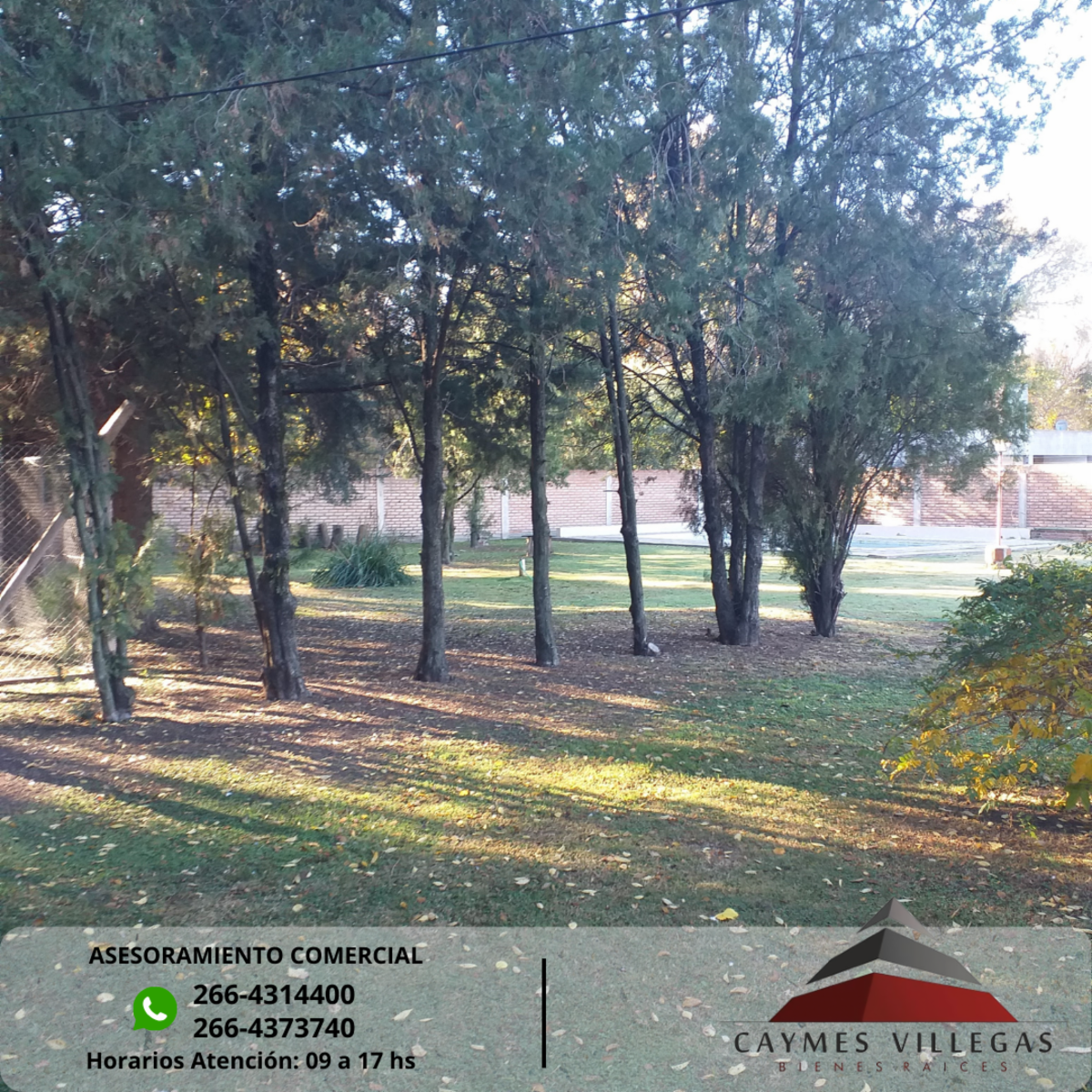 Viento Chorrillero y 20 de Noviembre · La Capital — foto 22