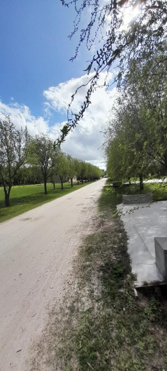 RUTA 2  KM 65 · Brandsen — foto 5