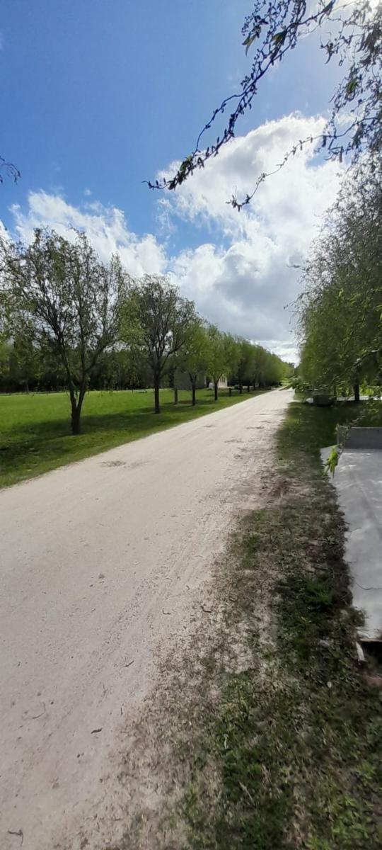 RUTA 2  KM 65 · Brandsen — foto 6