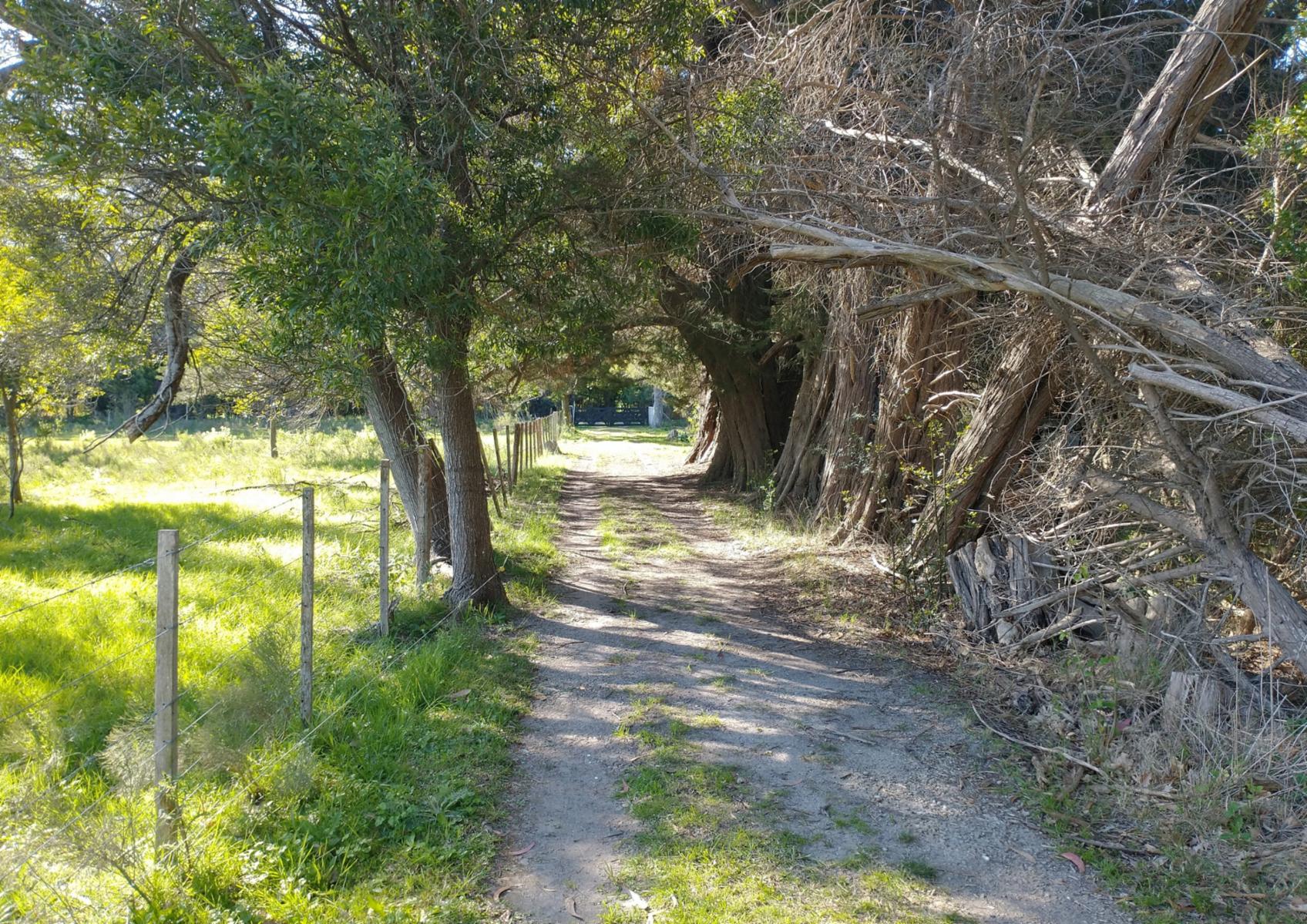 19 sin número · Punta Indio — foto 28
