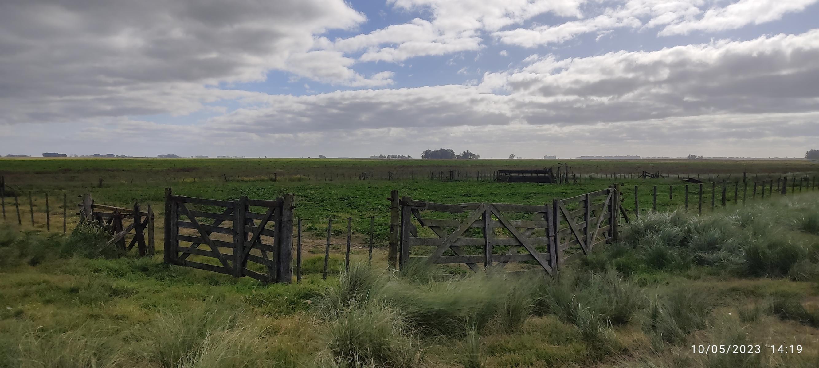VENDO 178 HAS CAMPO MIXTO (CUARTEL XI) JUAN N FERNANDEZ (PDO DE NECOCHEA) · Necochea — foto 11
