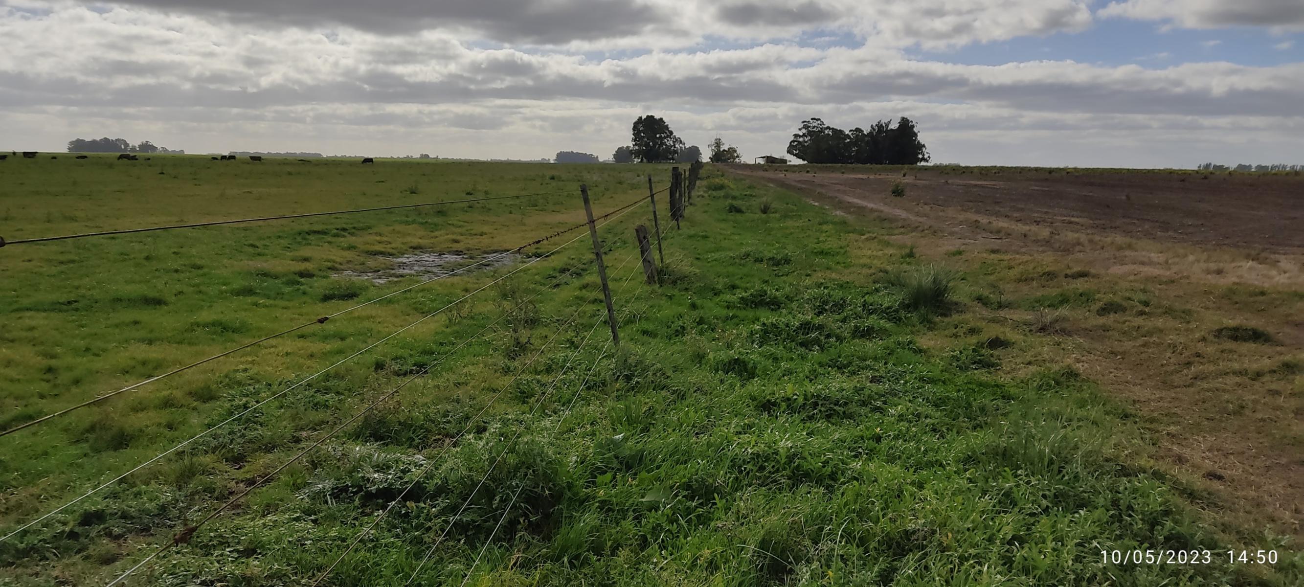 VENDO 178 HAS CAMPO MIXTO (CUARTEL XI) JUAN N FERNANDEZ (PDO DE NECOCHEA) · Necochea — foto 20