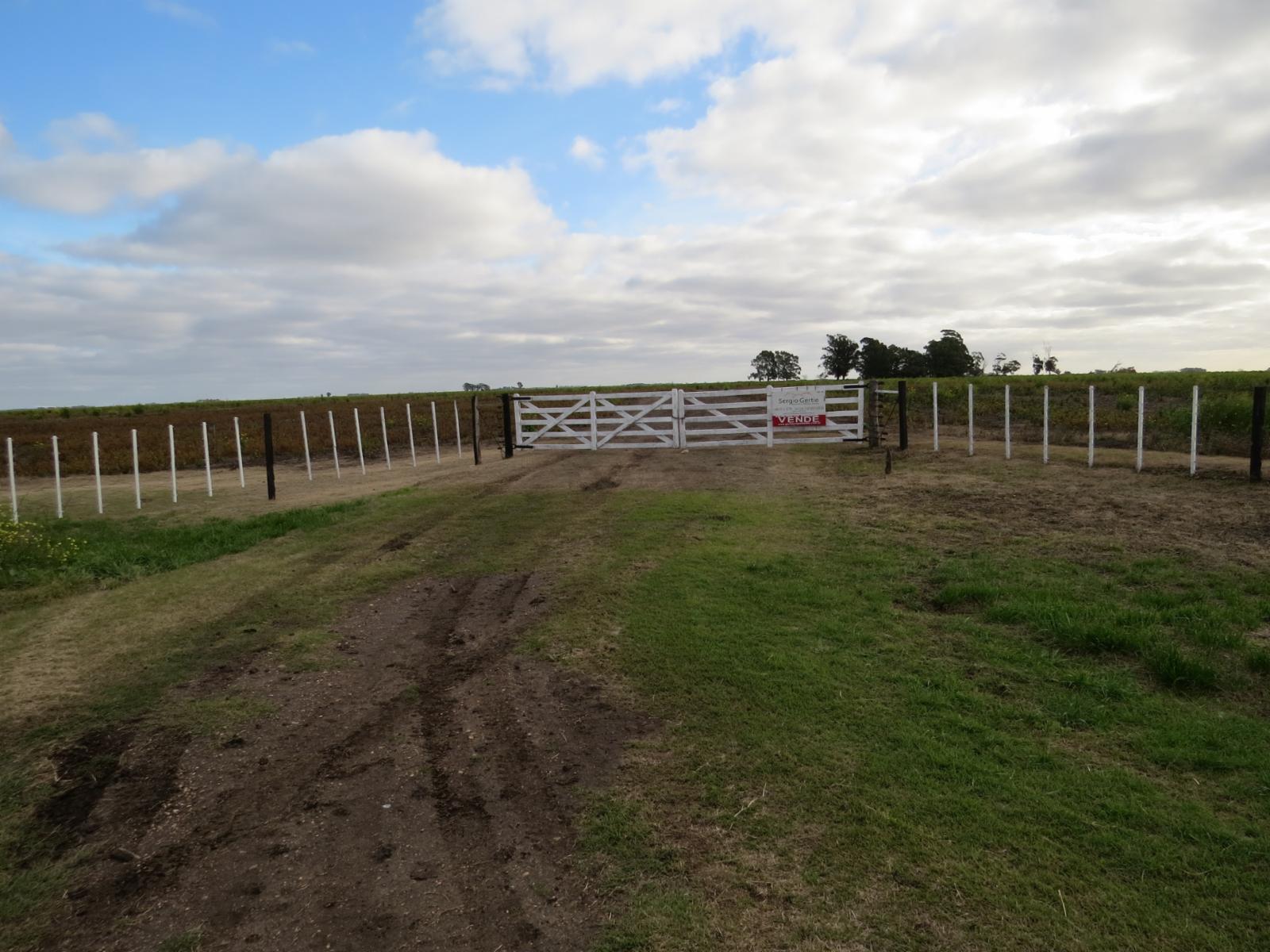 VENDO 178 HAS CAMPO MIXTO (CUARTEL XI) JUAN N FERNANDEZ (PDO DE NECOCHEA) · Necochea — foto 3