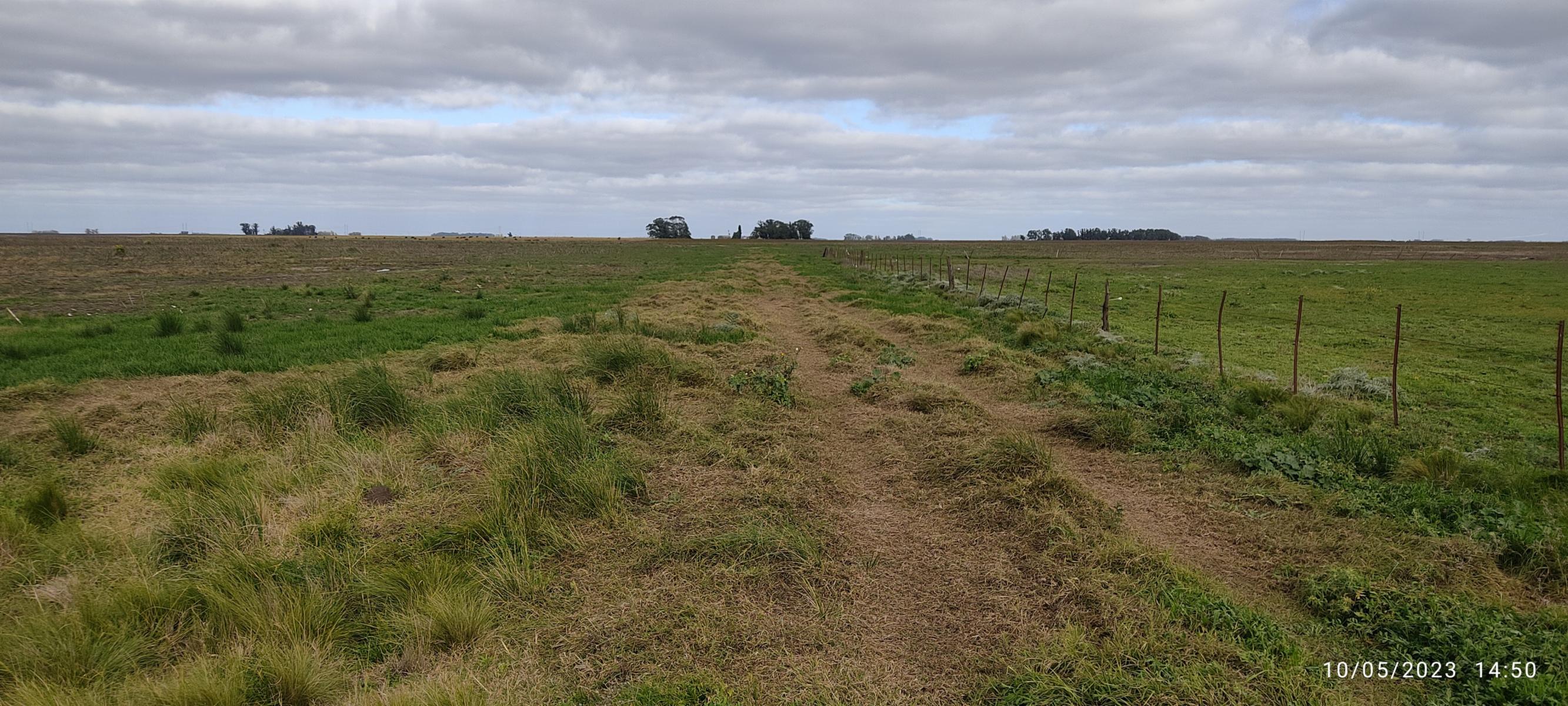 VENDO 178 HAS CAMPO MIXTO (CUARTEL XI) JUAN N FERNANDEZ (PDO DE NECOCHEA) · Necochea — foto 22