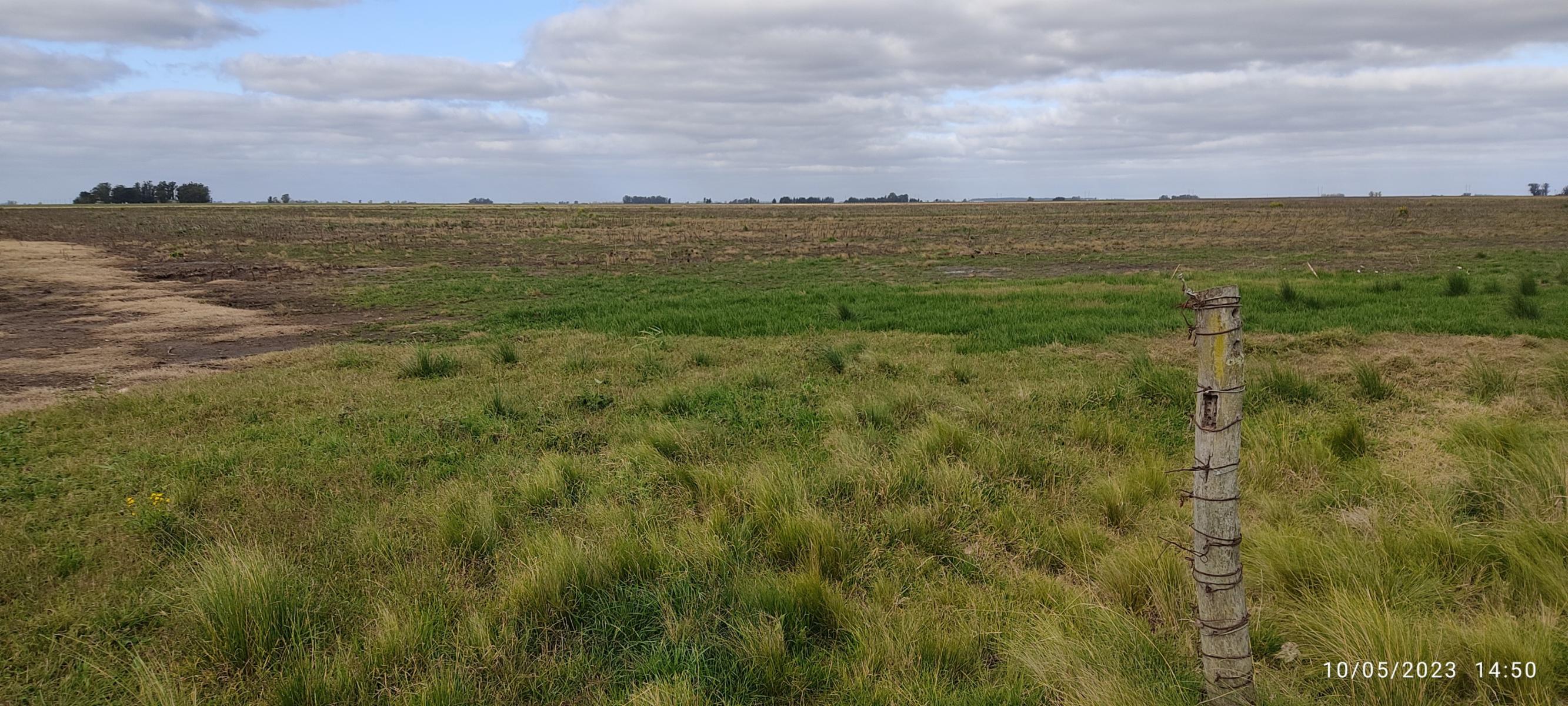 VENDO 178 HAS CAMPO MIXTO (CUARTEL XI) JUAN N FERNANDEZ (PDO DE NECOCHEA) · Necochea — foto 23