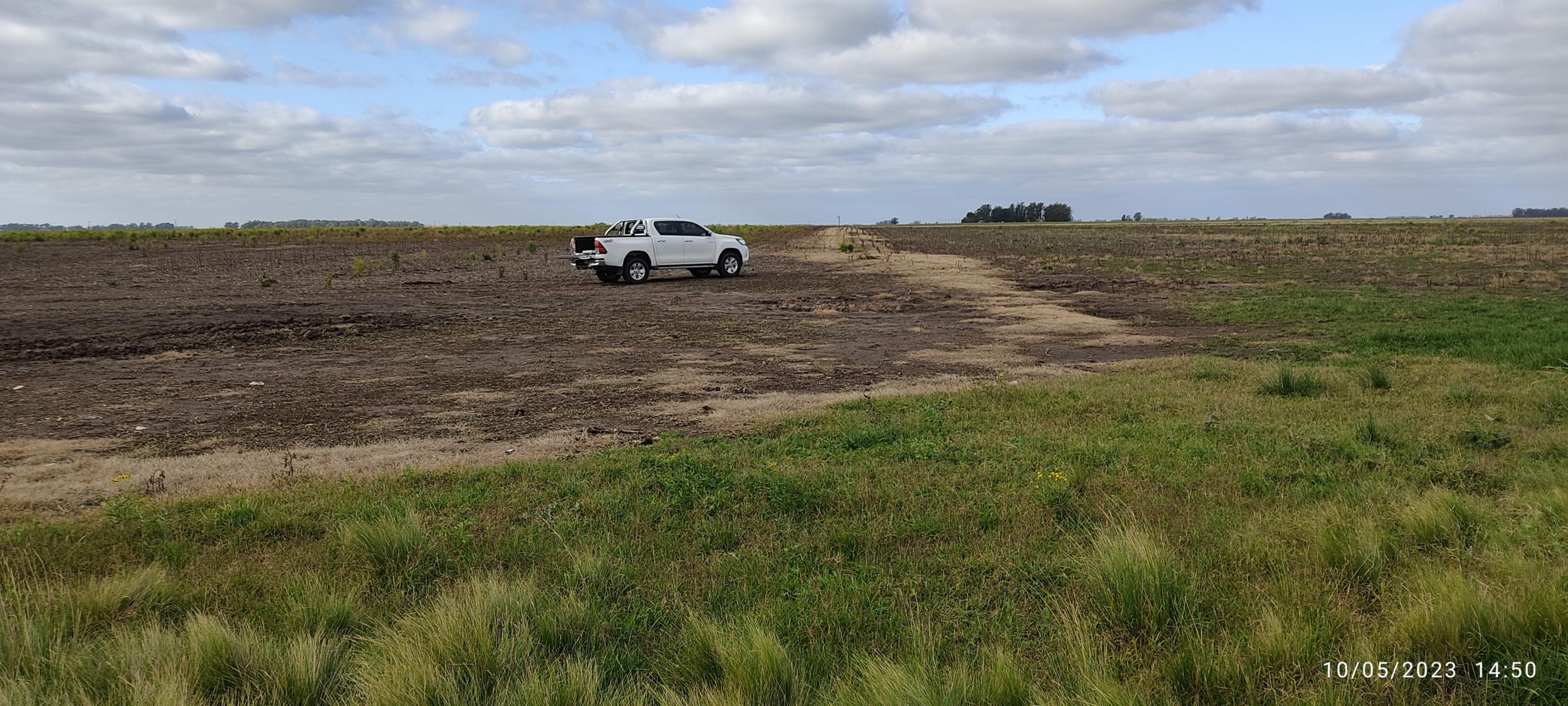 VENDO 178 HAS CAMPO MIXTO (CUARTEL XI) JUAN N FERNANDEZ (PDO DE NECOCHEA) · Necochea — foto 24