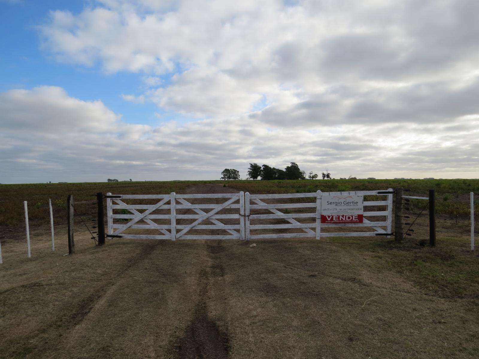 VENDO 178 HAS CAMPO MIXTO (CUARTEL XI) JUAN N FERNANDEZ (PDO DE NECOCHEA) · Necochea — foto 4