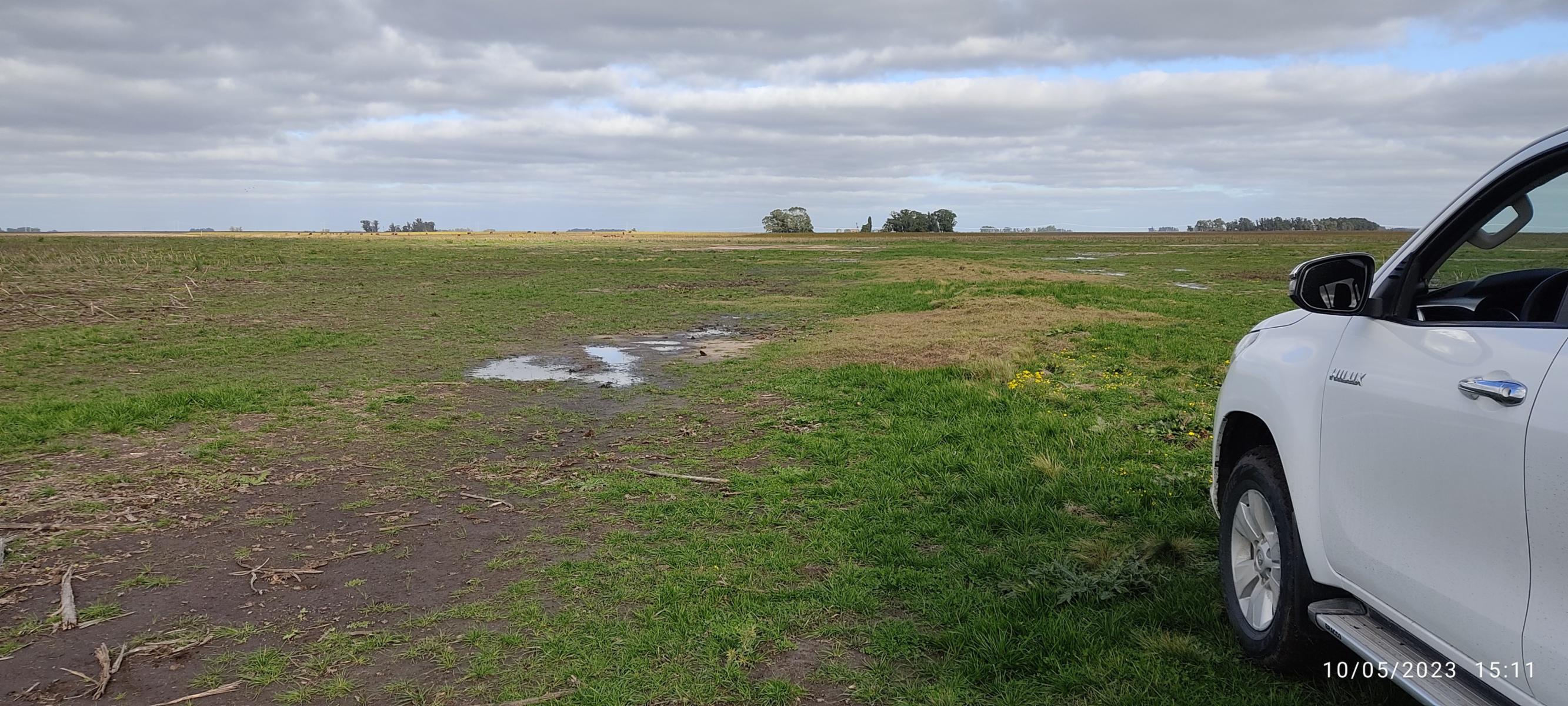 VENDO 178 HAS CAMPO MIXTO (CUARTEL XI) JUAN N FERNANDEZ (PDO DE NECOCHEA) · Necochea — foto 40
