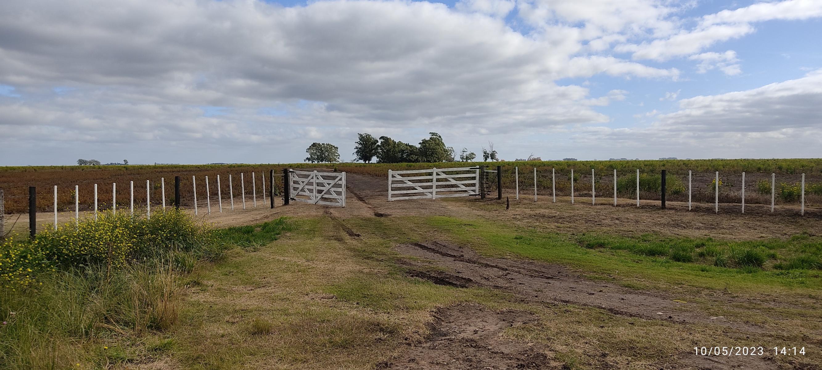 VENDO 178 HAS CAMPO MIXTO (CUARTEL XI) JUAN N FERNANDEZ (PDO DE NECOCHEA) · Necochea — foto 5