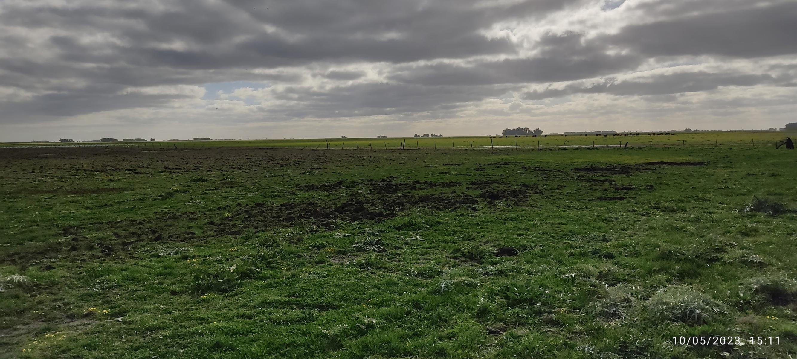 VENDO 178 HAS CAMPO MIXTO (CUARTEL XI) JUAN N FERNANDEZ (PDO DE NECOCHEA) · Necochea — foto 41