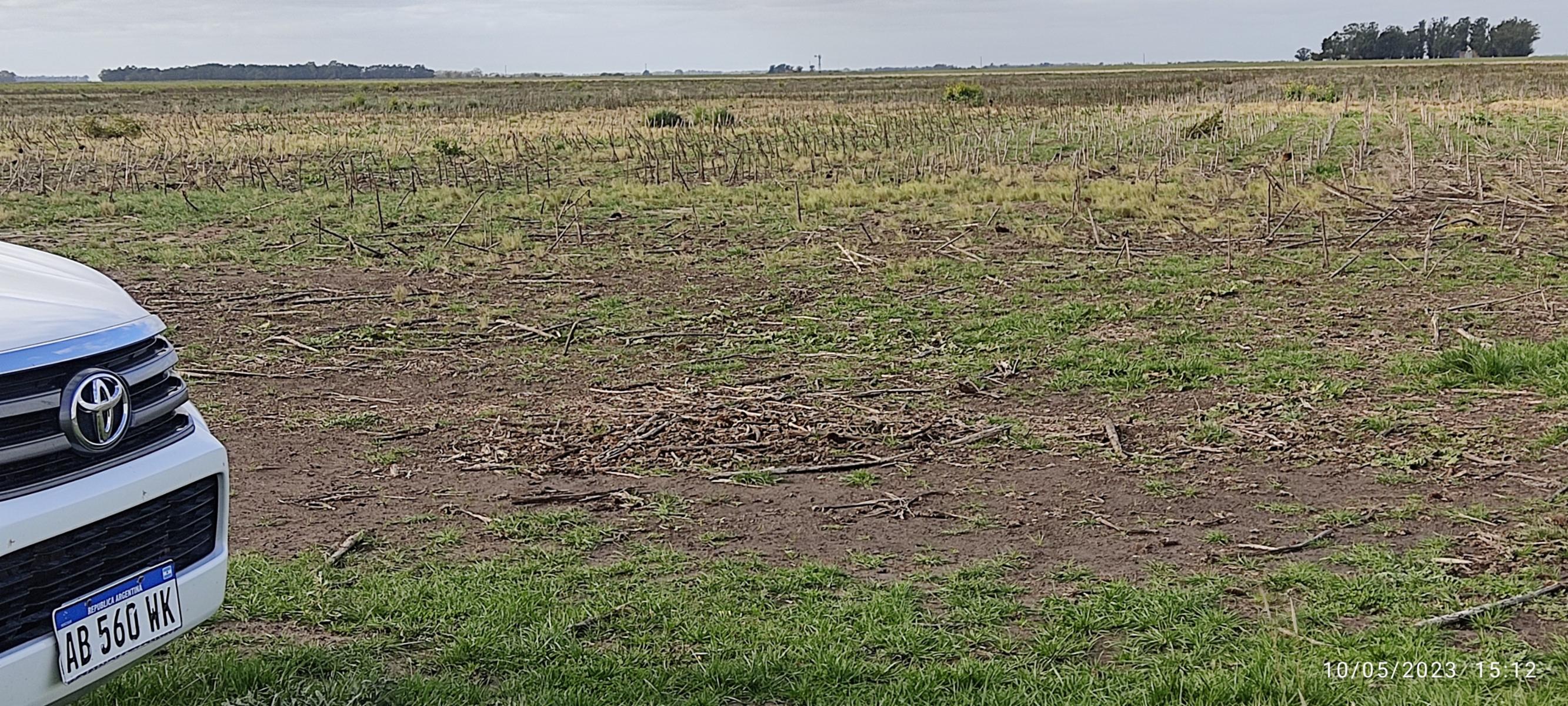 VENDO 178 HAS CAMPO MIXTO (CUARTEL XI) JUAN N FERNANDEZ (PDO DE NECOCHEA) · Necochea — foto 44