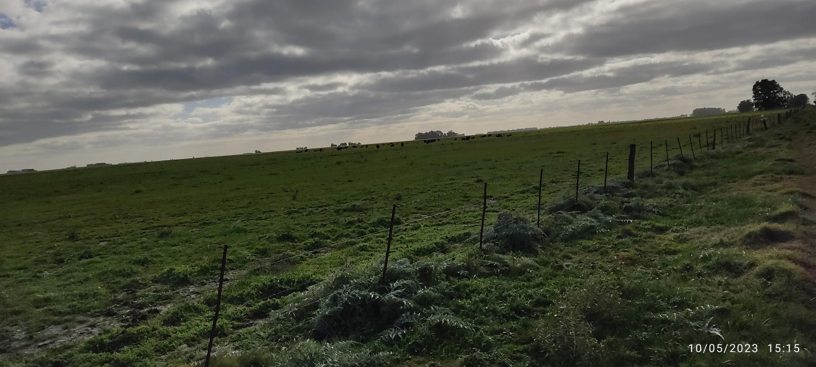 VENDO 178 HAS CAMPO MIXTO (CUARTEL XI) JUAN N FERNANDEZ (PDO DE NECOCHEA) · Necochea — foto 45