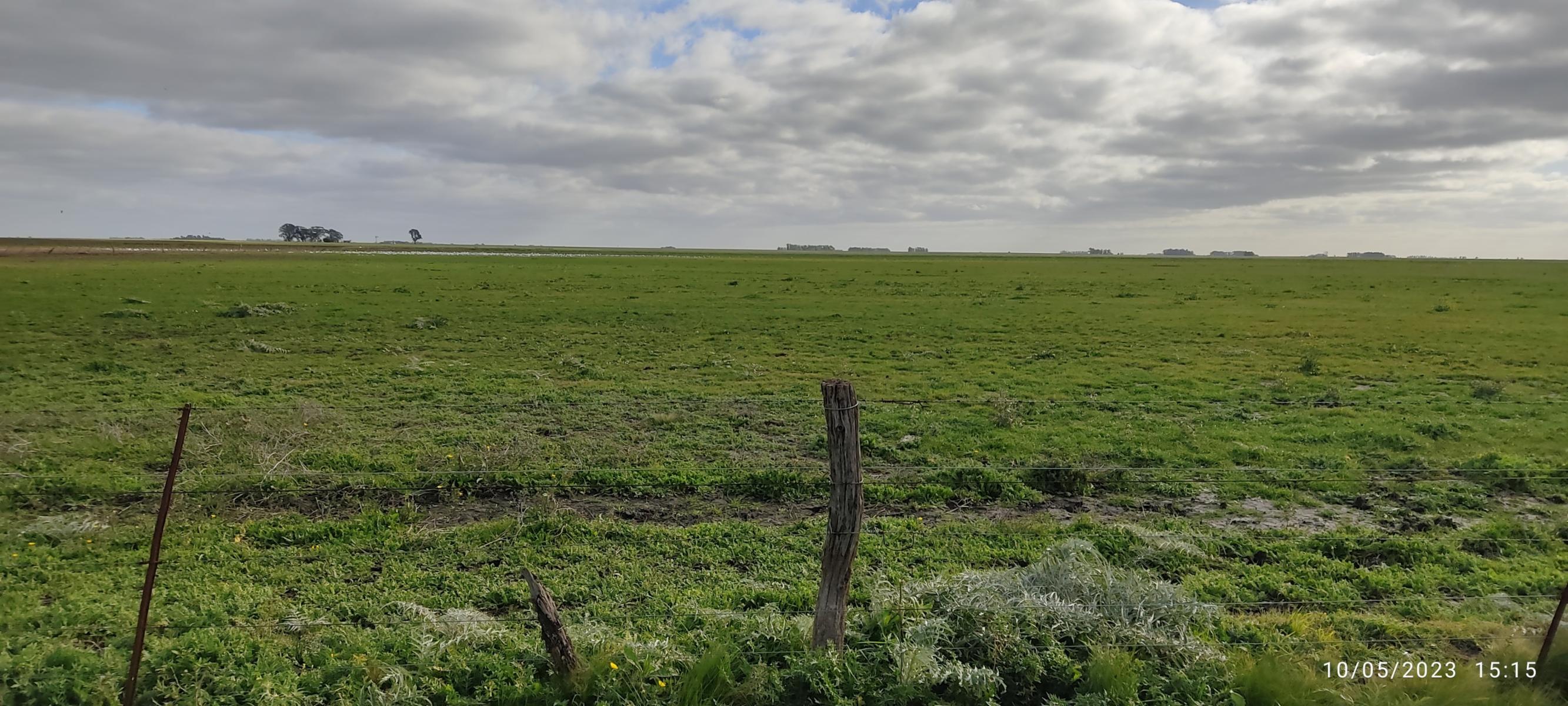 VENDO 178 HAS CAMPO MIXTO (CUARTEL XI) JUAN N FERNANDEZ (PDO DE NECOCHEA) · Necochea — foto 46