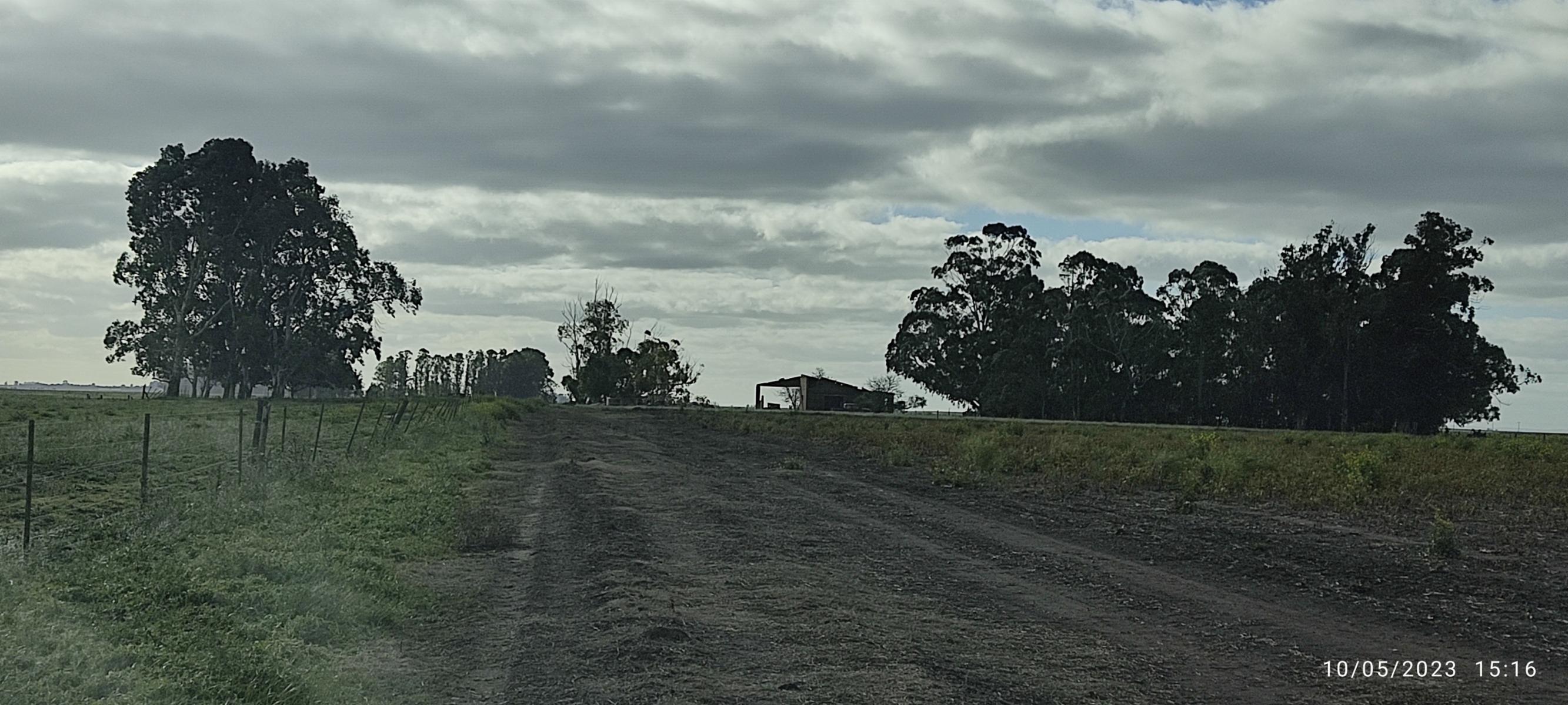 VENDO 178 HAS CAMPO MIXTO (CUARTEL XI) JUAN N FERNANDEZ (PDO DE NECOCHEA) · Necochea — foto 47