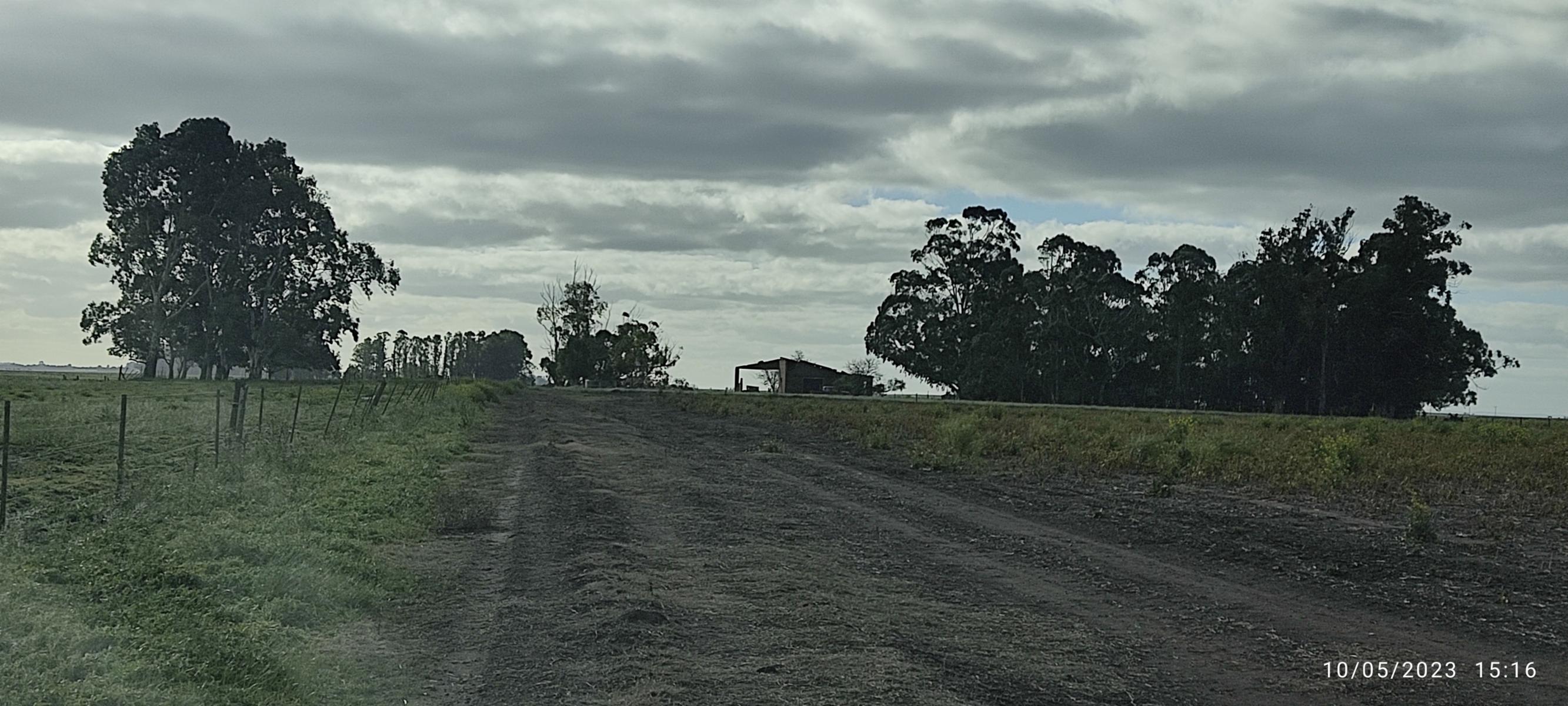 VENDO 178 HAS CAMPO MIXTO (CUARTEL XI) JUAN N FERNANDEZ (PDO DE NECOCHEA) · Necochea — foto 48