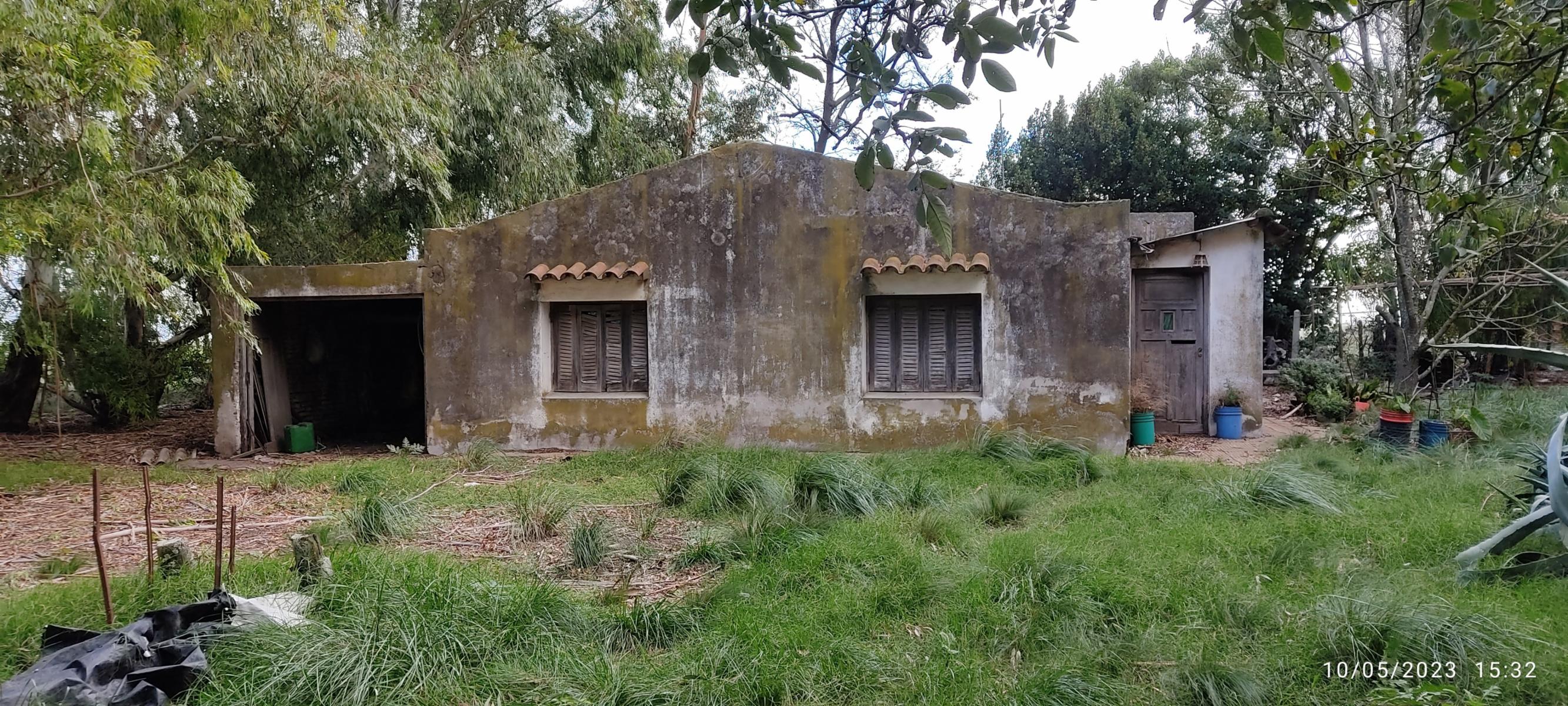 VENDO 178 HAS CAMPO MIXTO (CUARTEL XI) JUAN N FERNANDEZ (PDO DE NECOCHEA) · Necochea — foto 50