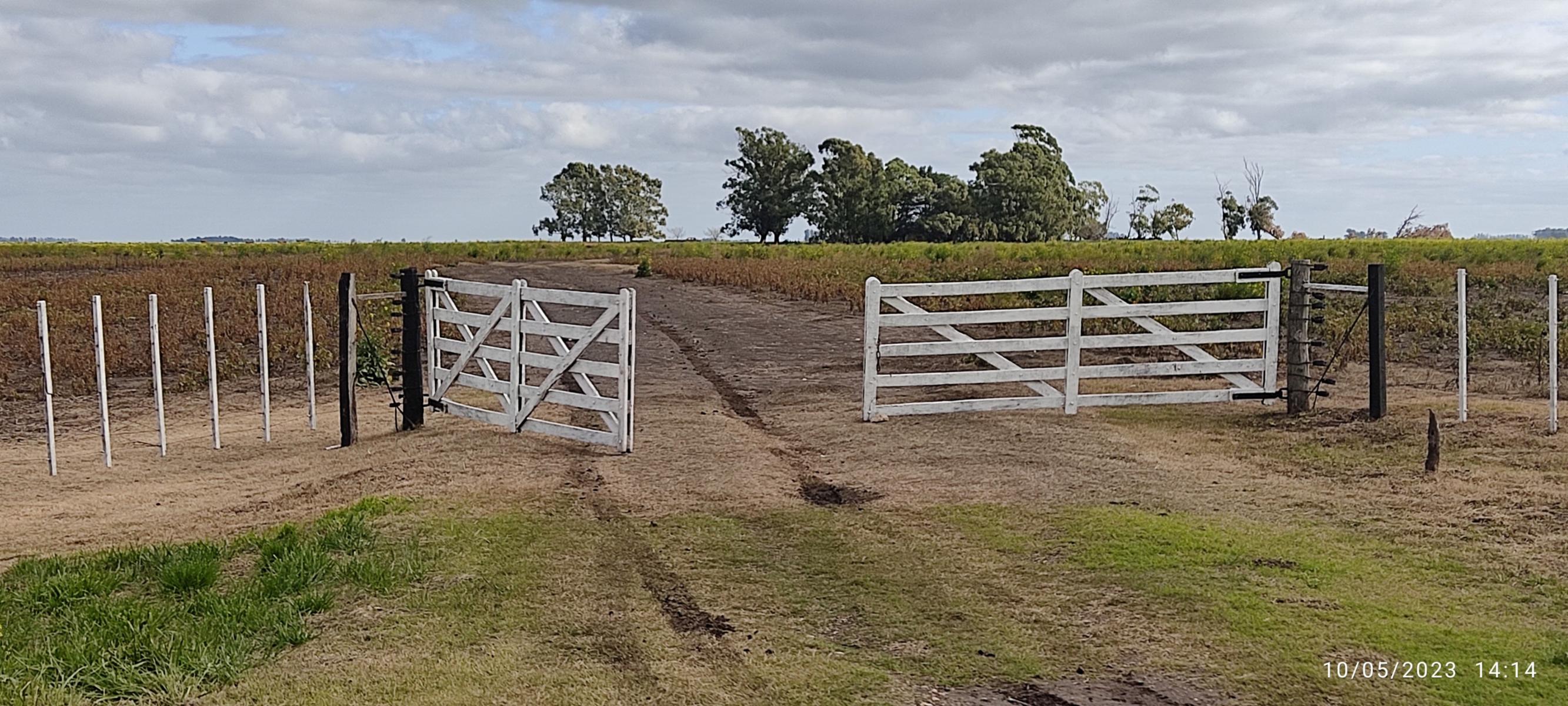 VENDO 178 HAS CAMPO MIXTO (CUARTEL XI) JUAN N FERNANDEZ (PDO DE NECOCHEA) · Necochea — foto 6
