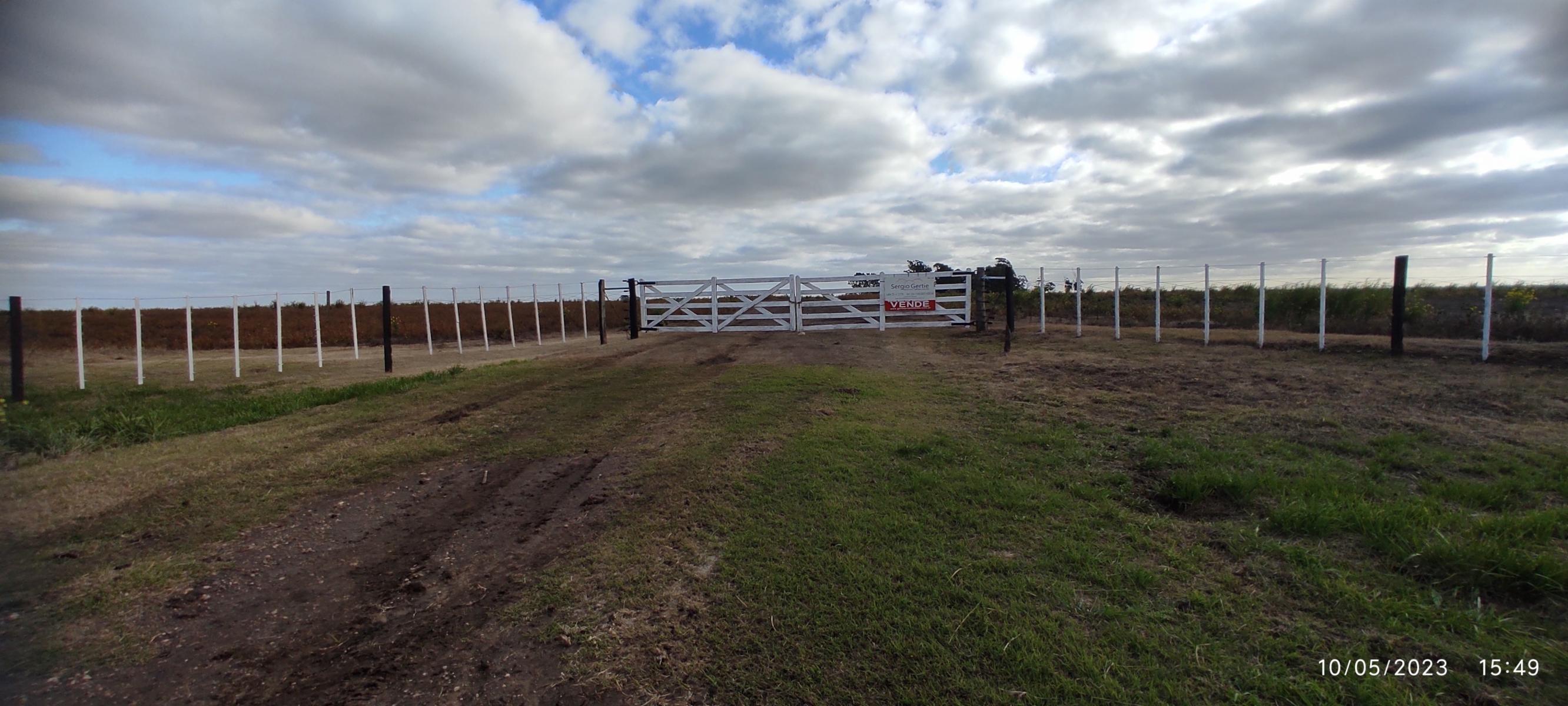 VENDO 178 HAS CAMPO MIXTO (CUARTEL XI) JUAN N FERNANDEZ (PDO DE NECOCHEA) · Necochea — foto 51