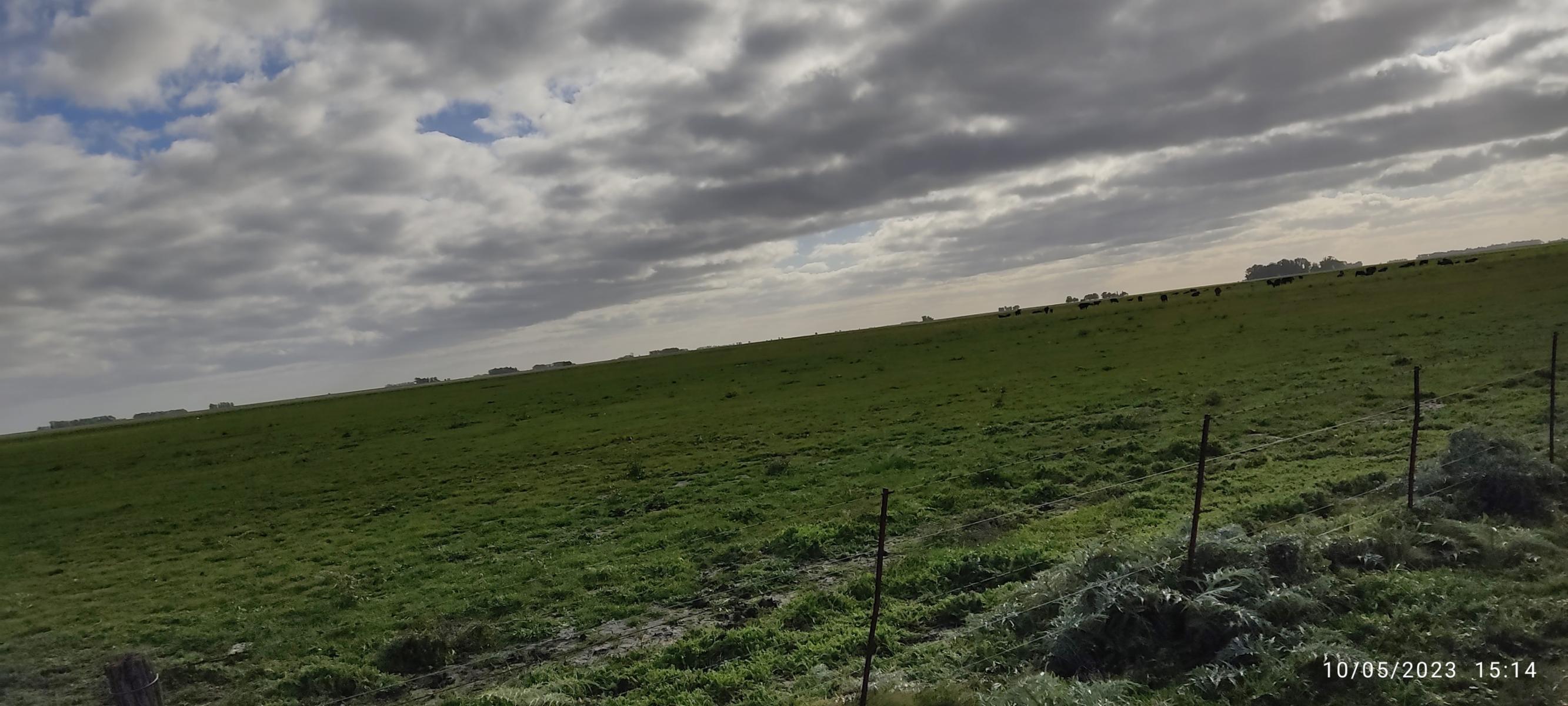 VENDO 178 HAS CAMPO MIXTO (CUARTEL XI) JUAN N FERNANDEZ (PDO DE NECOCHEA) · Necochea — foto 52
