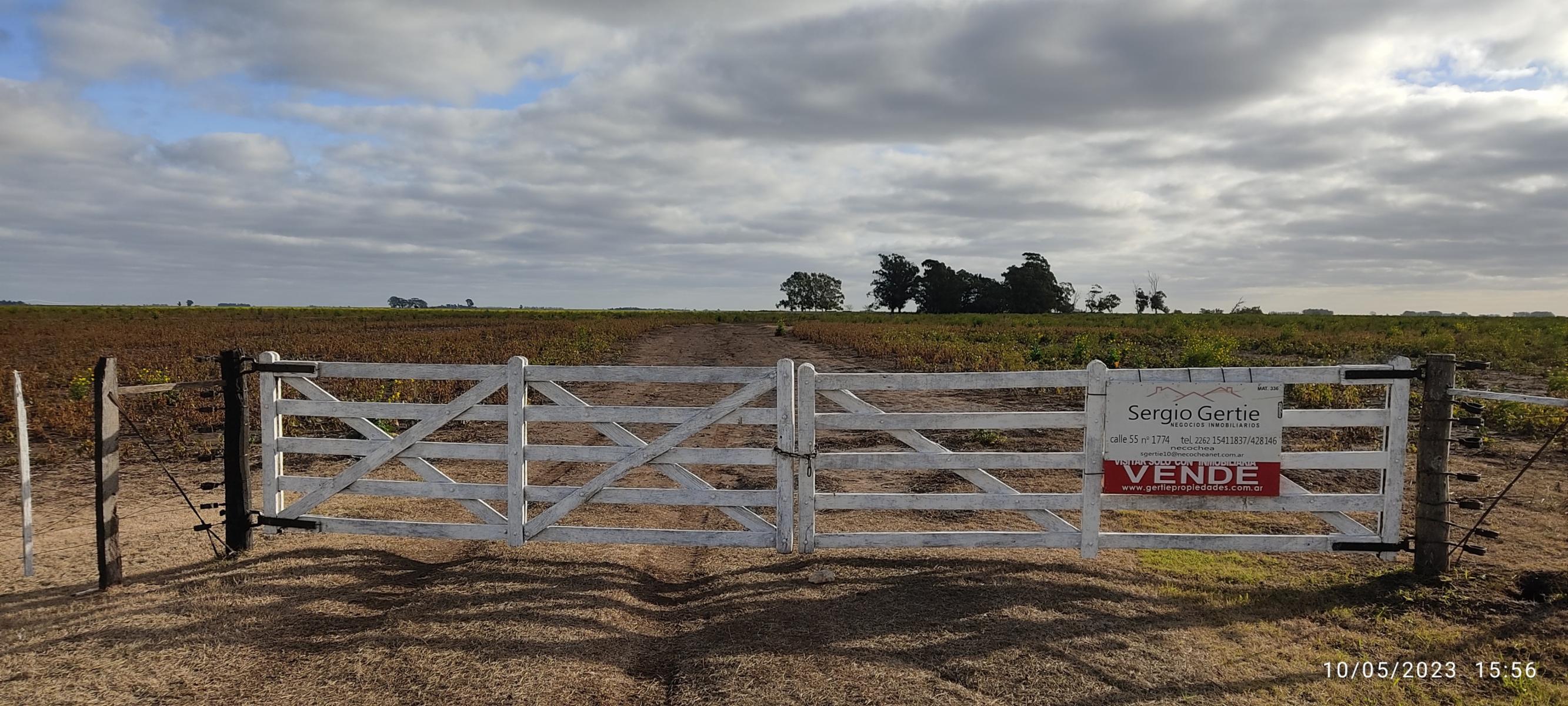 VENDO 178 HAS CAMPO MIXTO (CUARTEL XI) JUAN N FERNANDEZ (PDO DE NECOCHEA) · Necochea — foto 53