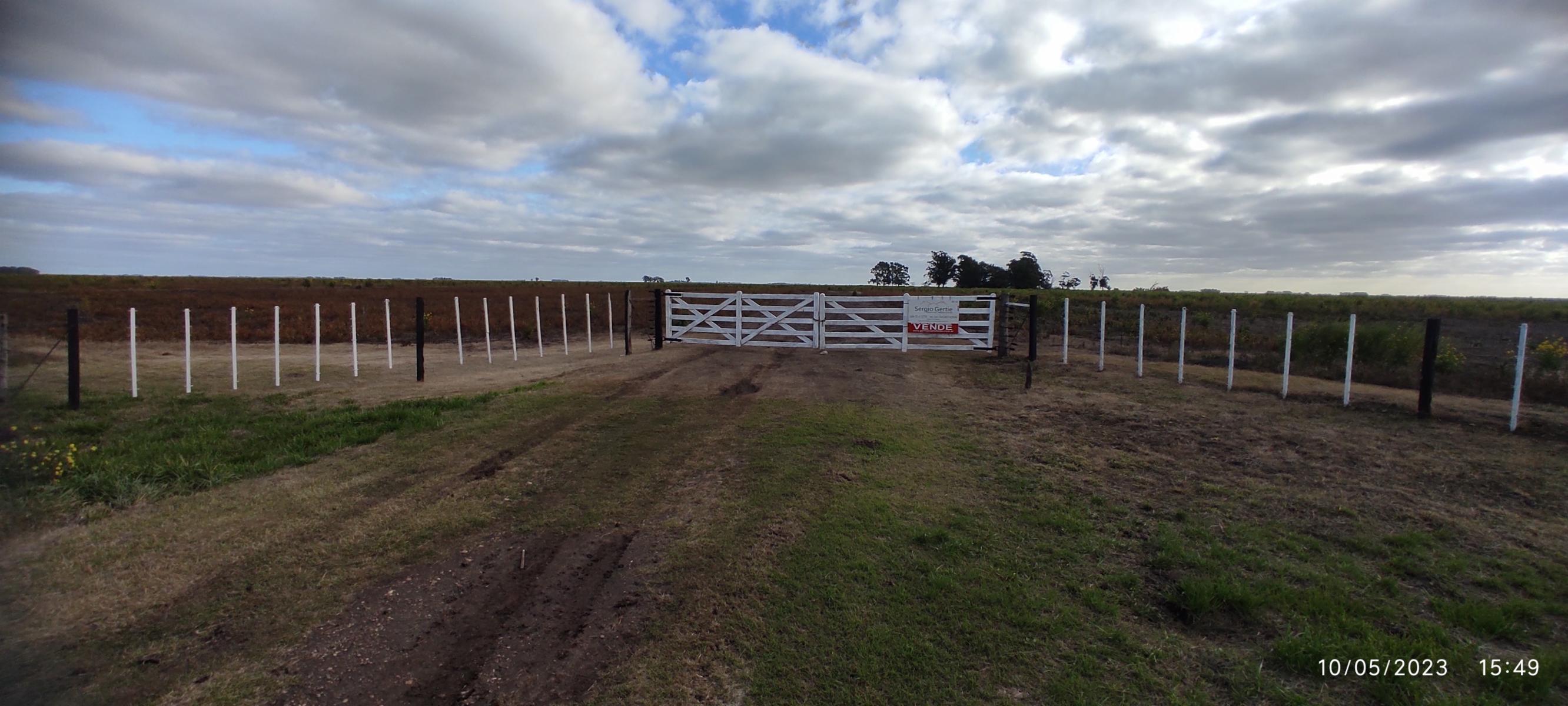 VENDO 178 HAS CAMPO MIXTO (CUARTEL XI) JUAN N FERNANDEZ (PDO DE NECOCHEA) · Necochea — foto 54