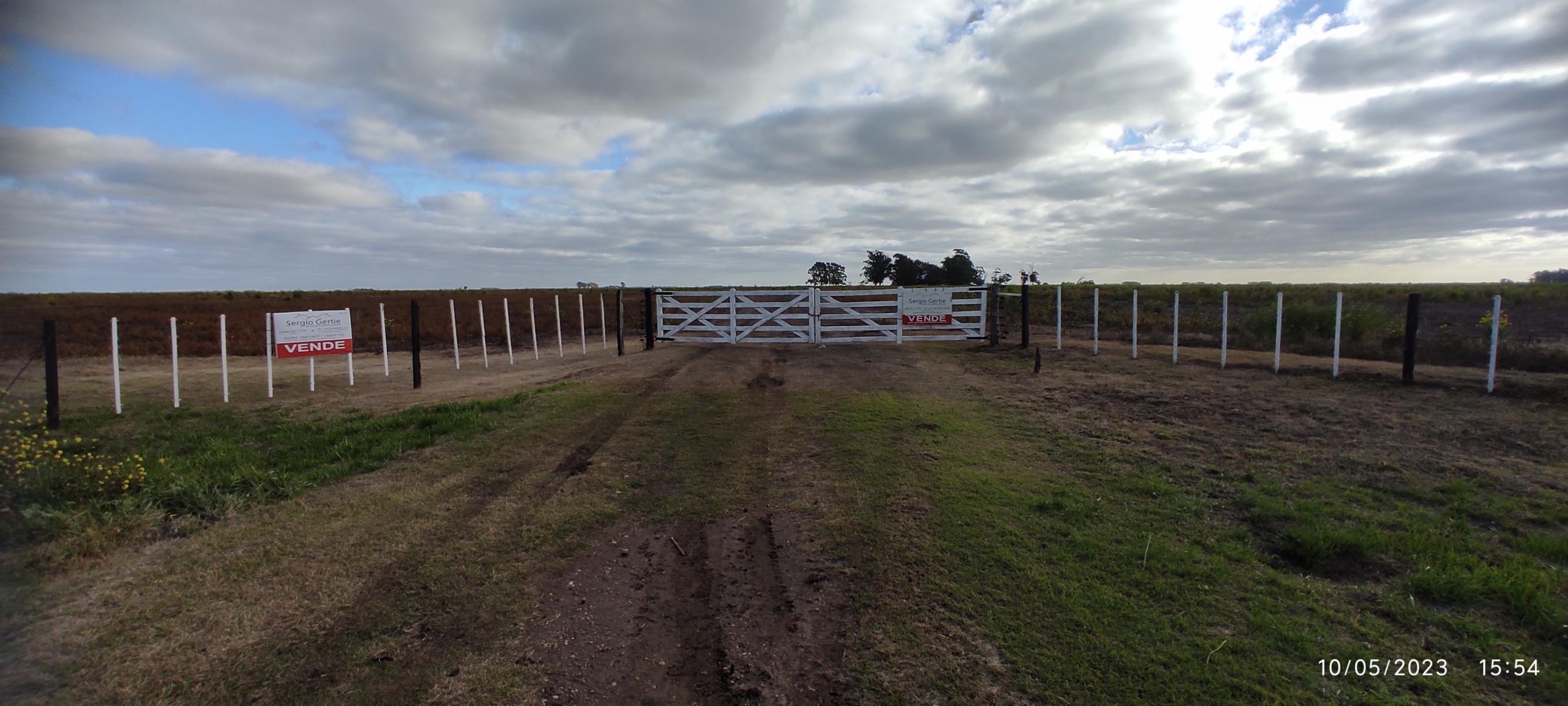 VENDO 178 HAS CAMPO MIXTO (CUARTEL XI) JUAN N FERNANDEZ (PDO DE NECOCHEA) · Necochea — foto 55