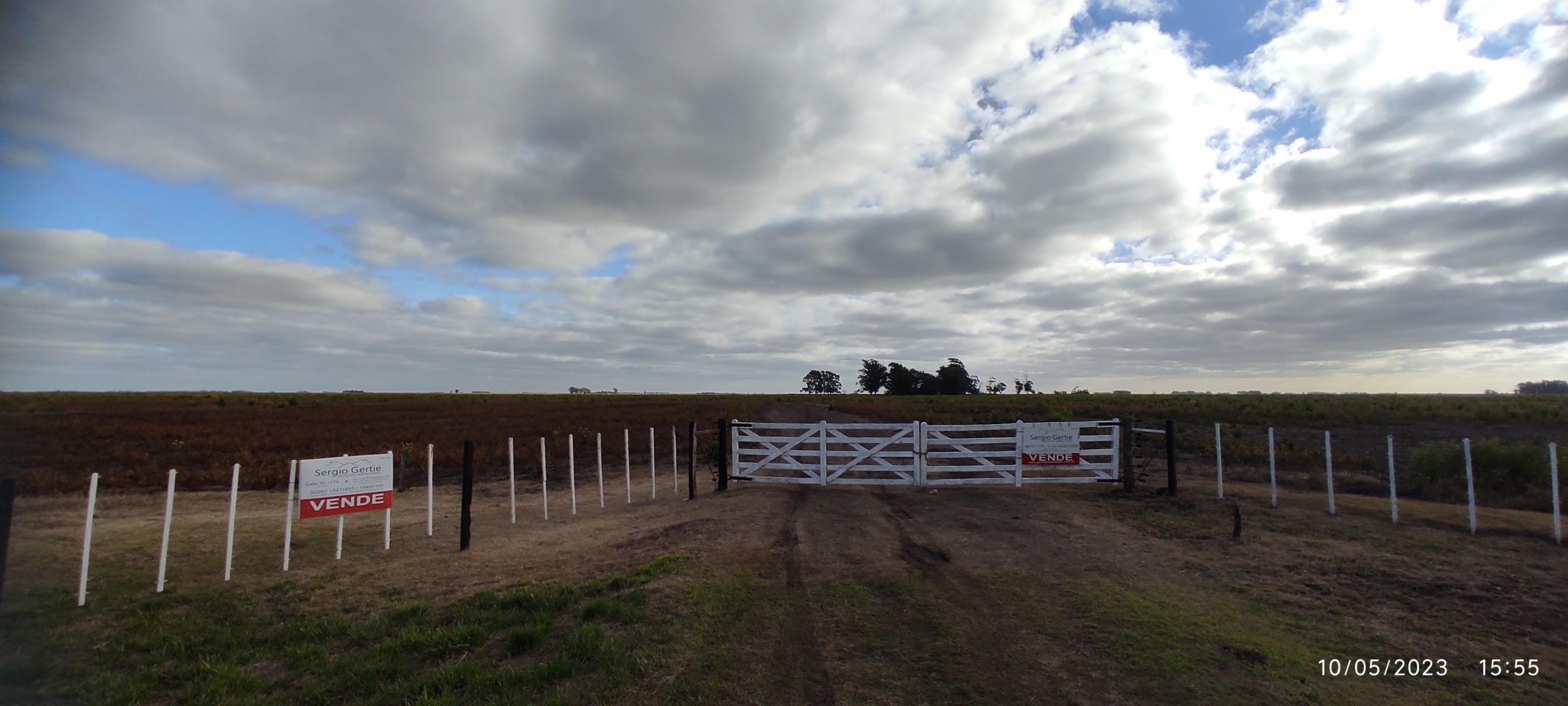 VENDO 178 HAS CAMPO MIXTO (CUARTEL XI) JUAN N FERNANDEZ (PDO DE NECOCHEA) · Necochea — foto 56