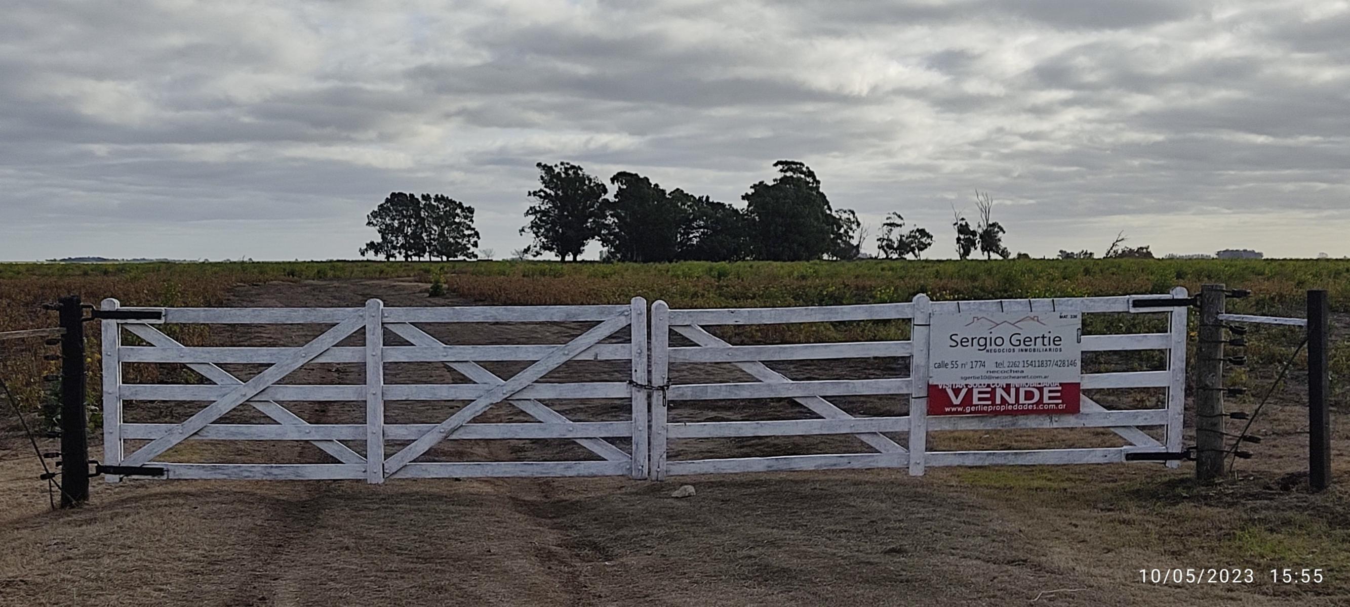 VENDO 178 HAS CAMPO MIXTO (CUARTEL XI) JUAN N FERNANDEZ (PDO DE NECOCHEA) · Necochea — foto 57