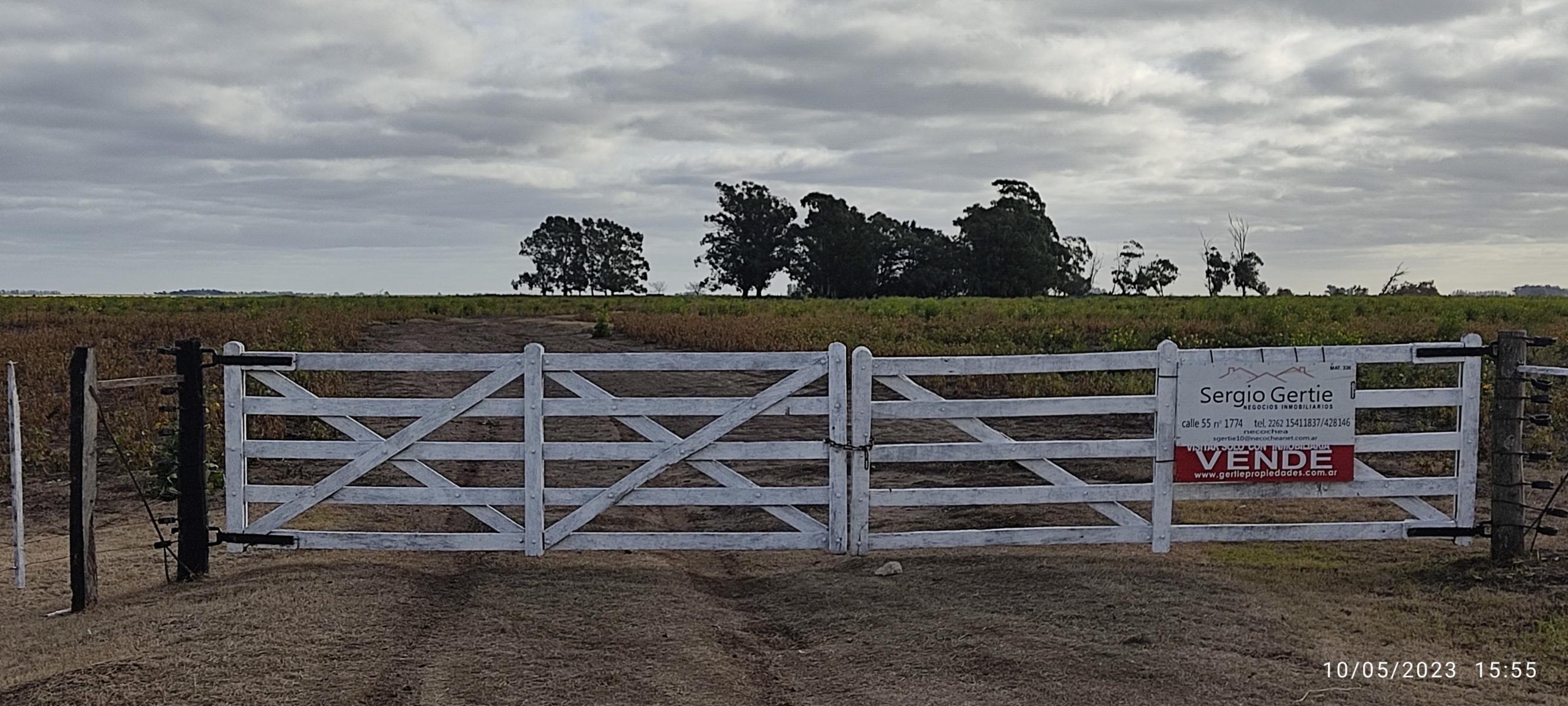 VENDO 178 HAS CAMPO MIXTO (CUARTEL XI) JUAN N FERNANDEZ (PDO DE NECOCHEA) · Necochea — foto 58