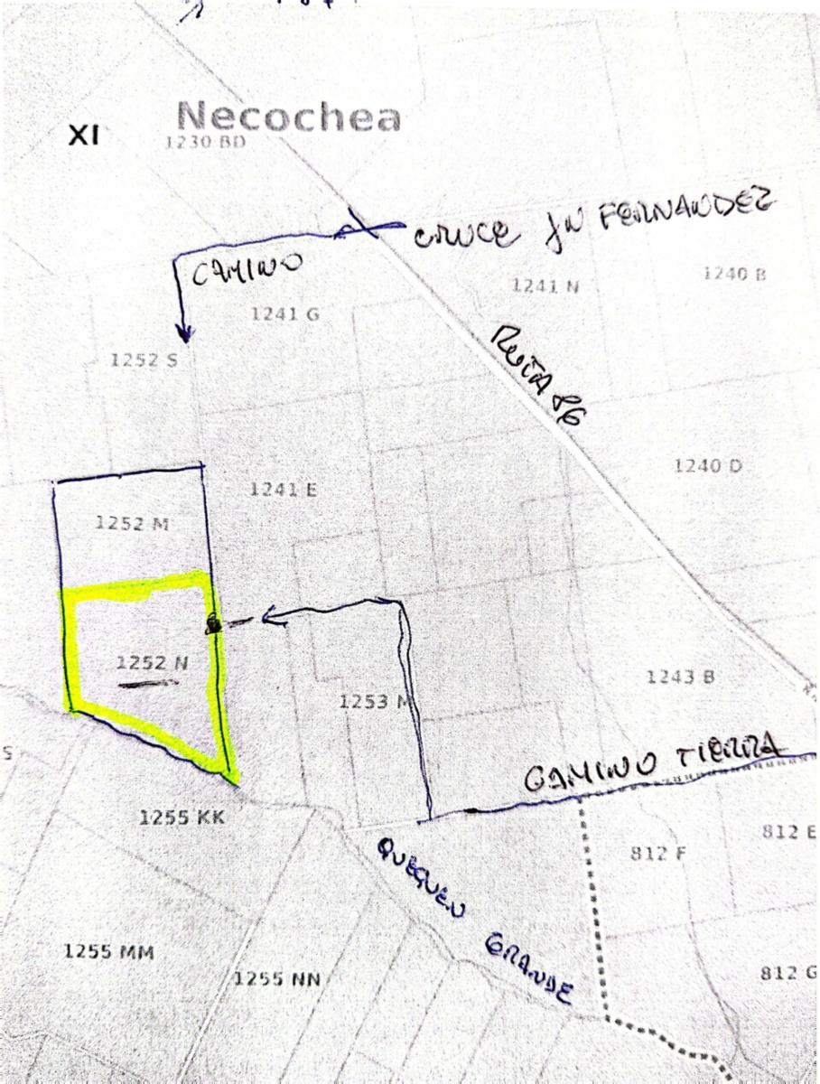 VENDO 178 HAS CAMPO MIXTO (CUARTEL XI) JUAN N FERNANDEZ (PDO DE NECOCHEA) · Necochea — foto 63