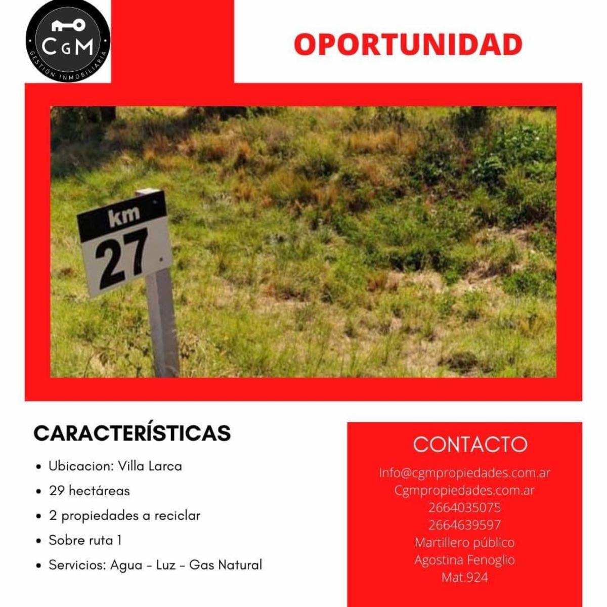 CAMPO 29 HECTAREAS EN VILLA LARCA, SAN LUIS