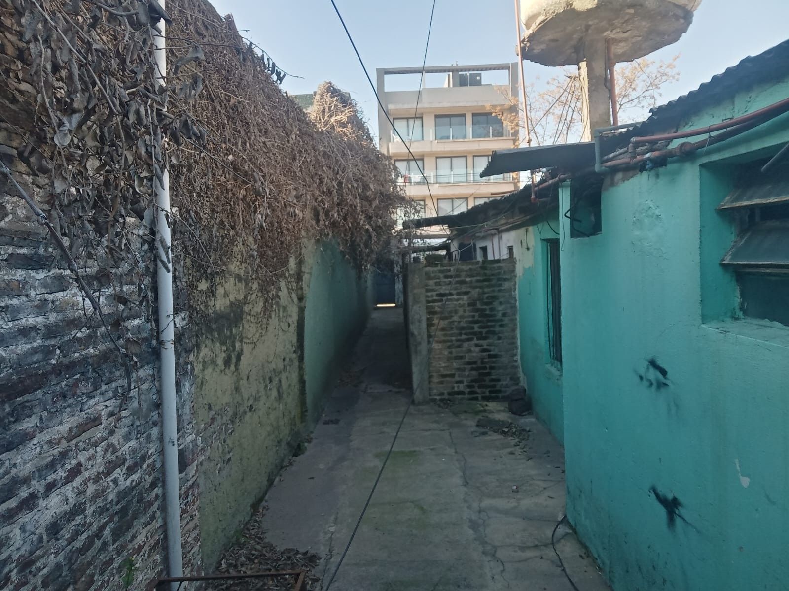 Tutuyi al 1100 · La Matanza — foto 3