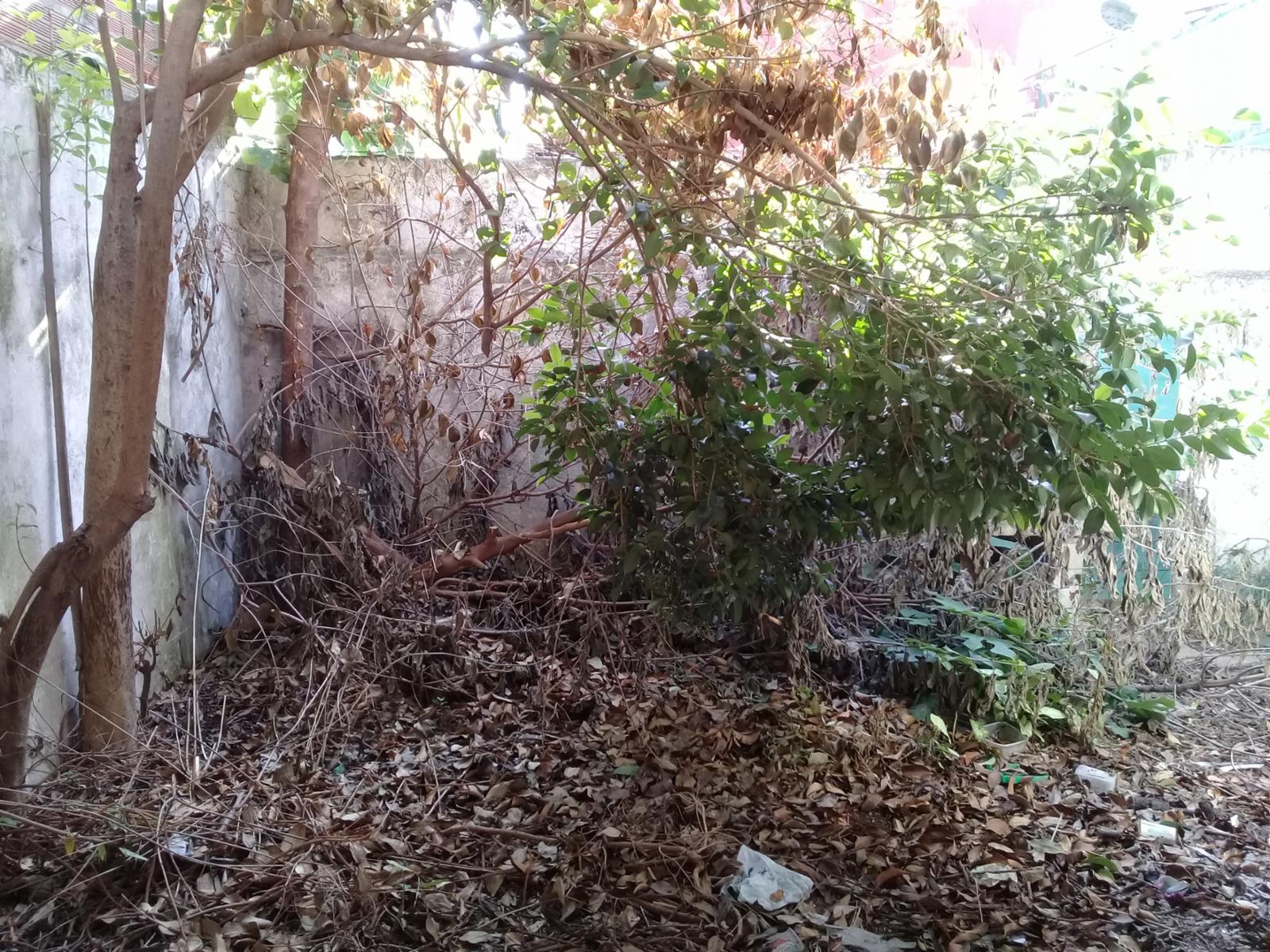 SANTA CRUZ 54 · San Martín — foto 3